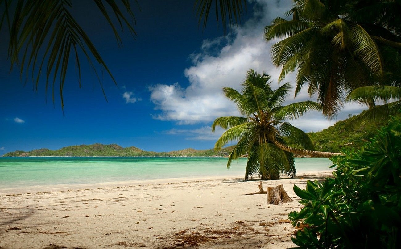 landscape, Photography, Nature, Beach, Palm Trees, Sand, Sea, Hills, Blue, Sky, Tropical, Summer, Island, Seychelles Wallpaper HD / Desktop and Mobile Background