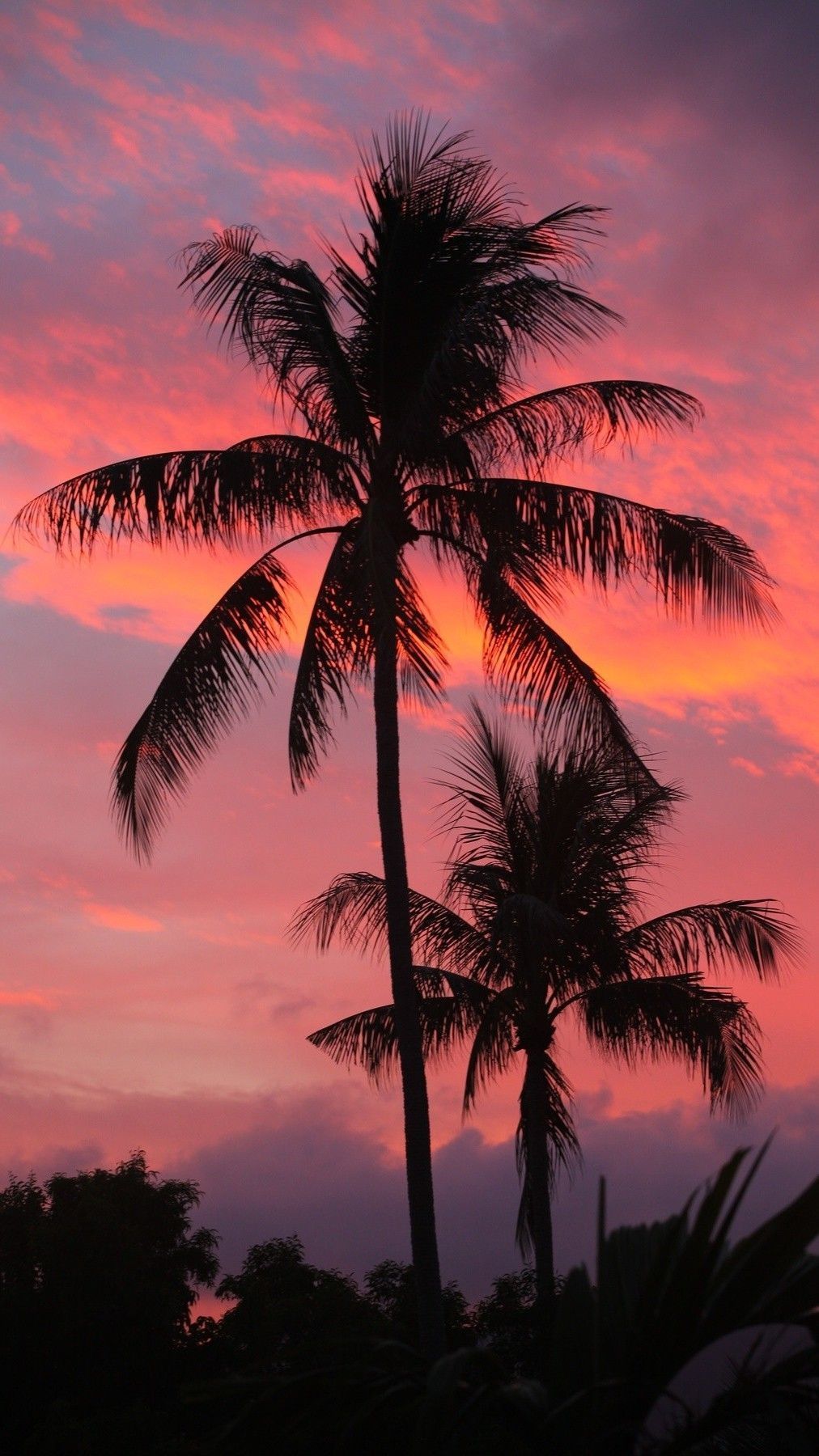 decembrefondecran Zachary. Sky aesthetic, Sunset wallpaper, Palm trees wallpaper