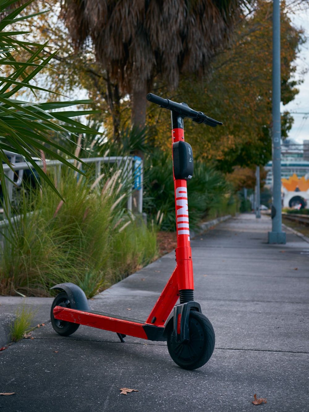 Electric Scooter Picture. Download Free Image