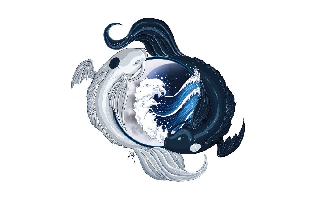 Wallpaper Water, Fish, Avatar, Avatar, Yin Yang, The Legend Of Korra, Avatar: The Legend Of Korr. Image For Desktop, Section фильмы