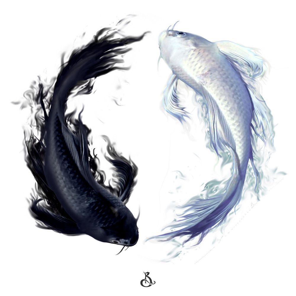 80 Yin Yang Fish Wallpaper Hd Pictures - MyWeb