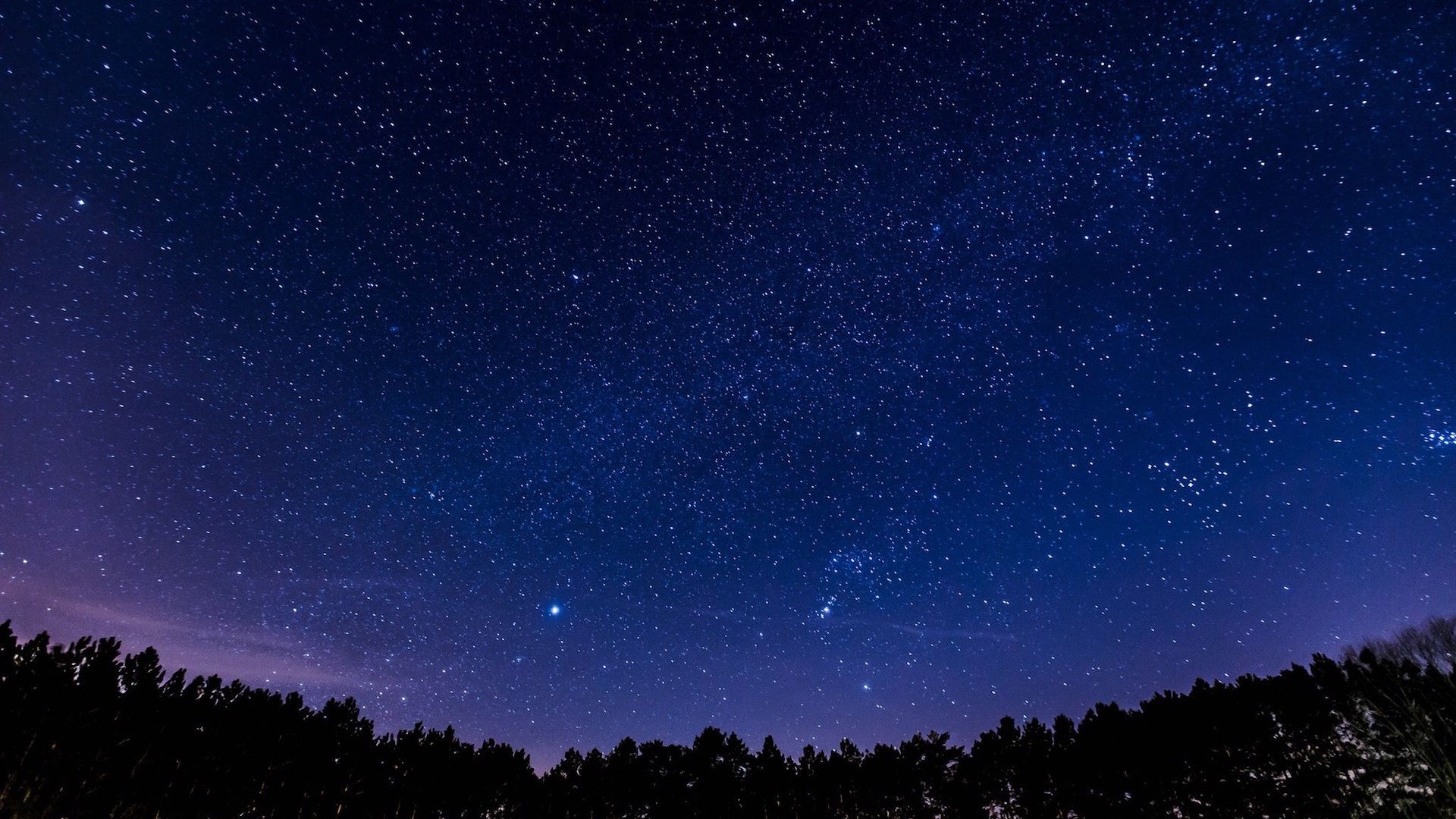 Forest Night Sky Wallpaper Free Forest Night Sky Background