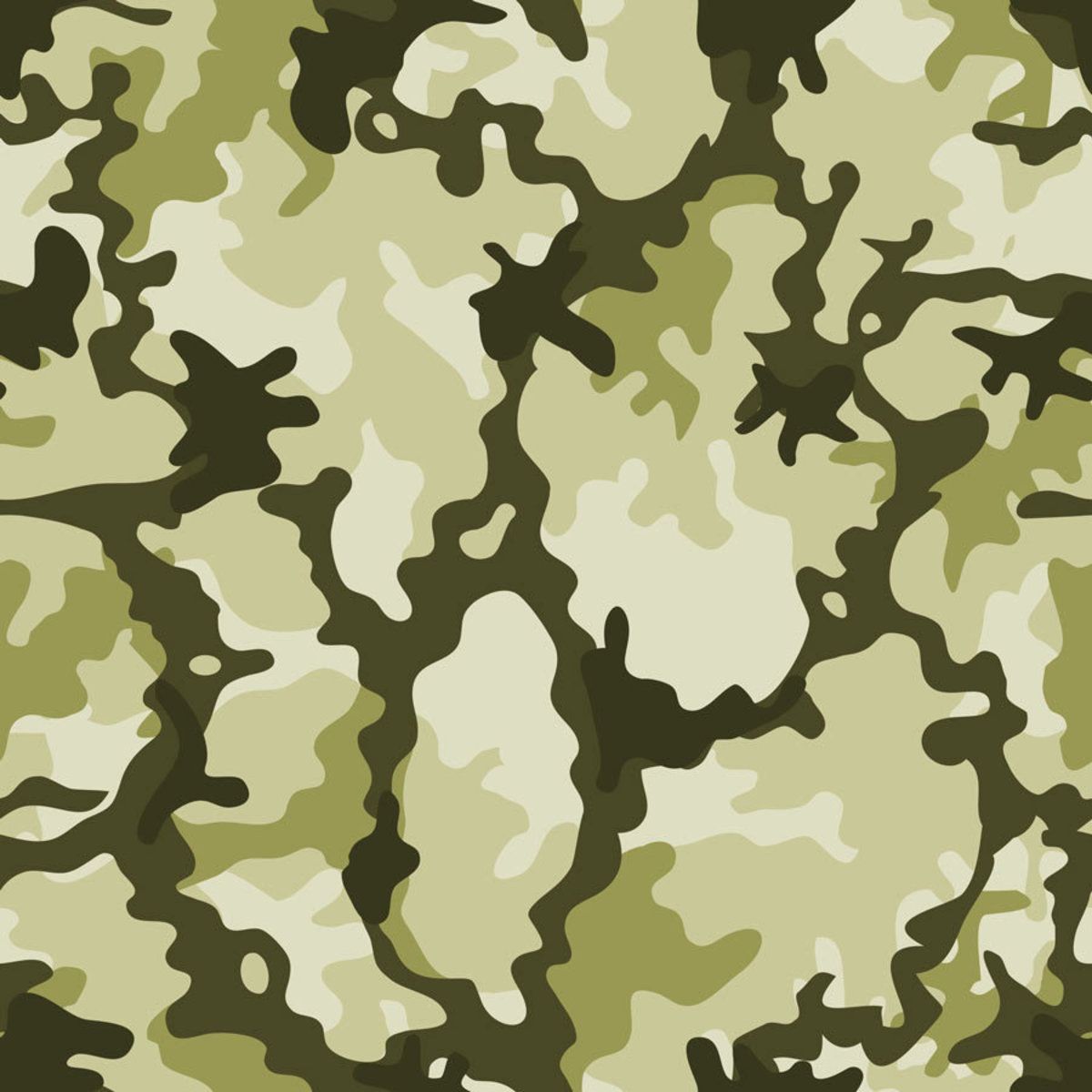 Military Camo Pattern Wall Mural. Murals Your Way