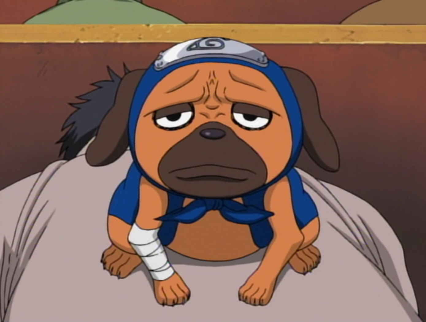 Kakashi Hatake Dog's Name