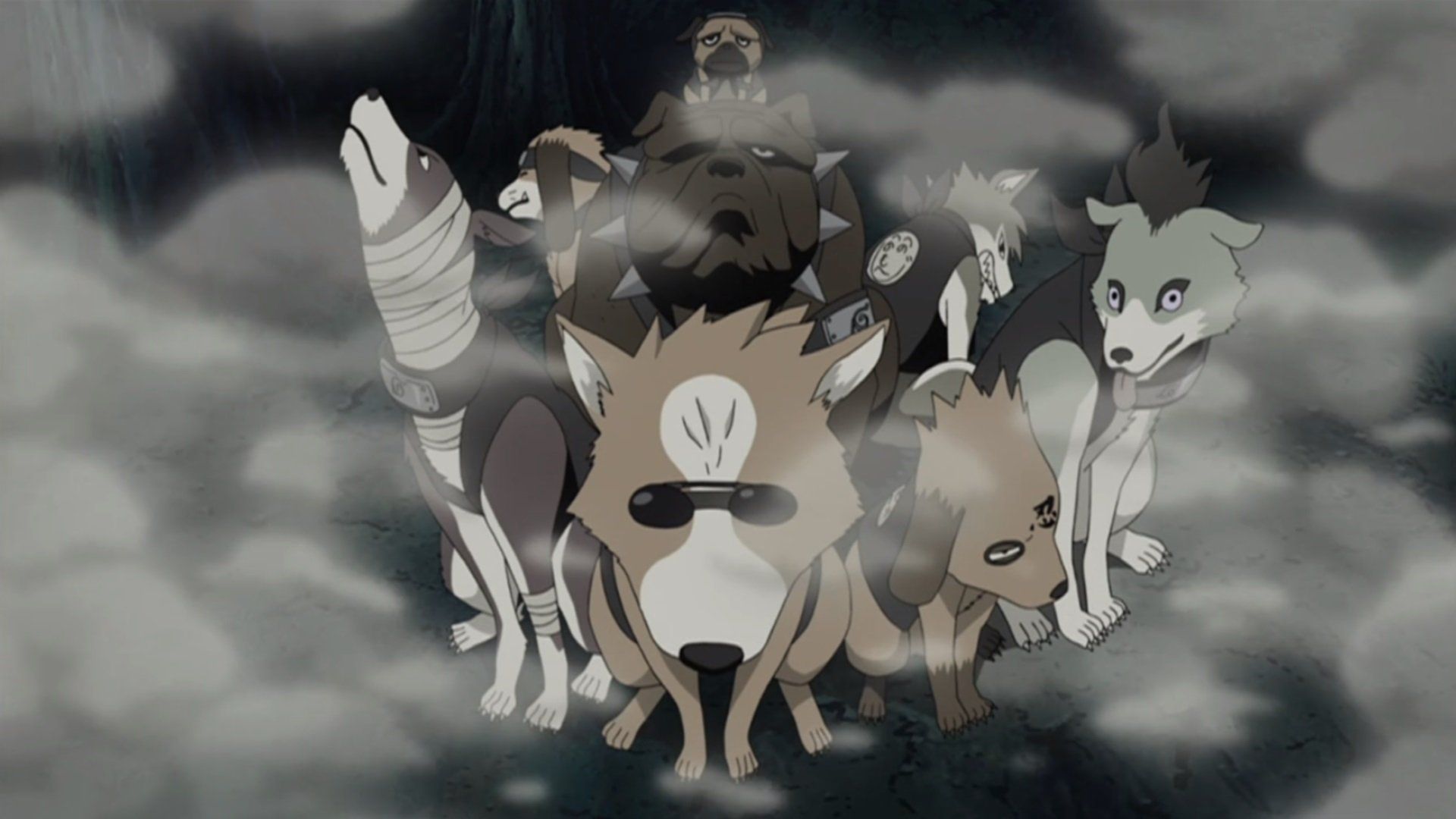 The Complete List of 14 Ninken of Konoha, The Loyal Ninja Dogs