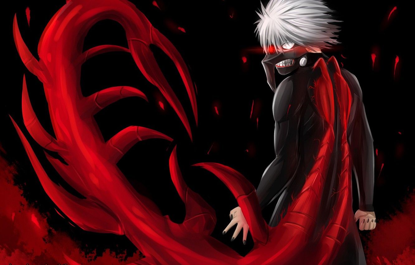Photo Wallpaper Gul, Tokyo Ghoul, Tokyo Ghoul, The Ghoul Kaneki Kakuja HD Wallpaper