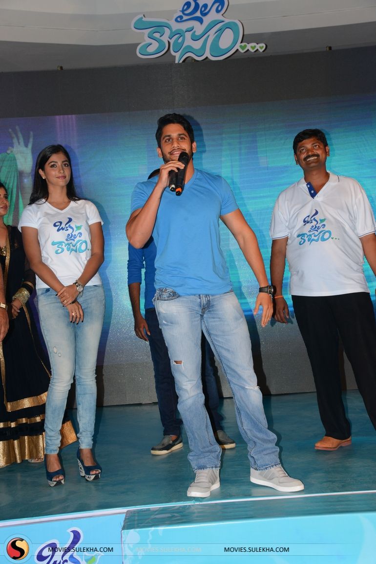 of Naga Chaitanya at Oka Laila Kosam Movie Song Launch at Vijayawada, Naga Chaitanya at Oka Laila Kosam Movie Song Launch at Vijayawada Photo