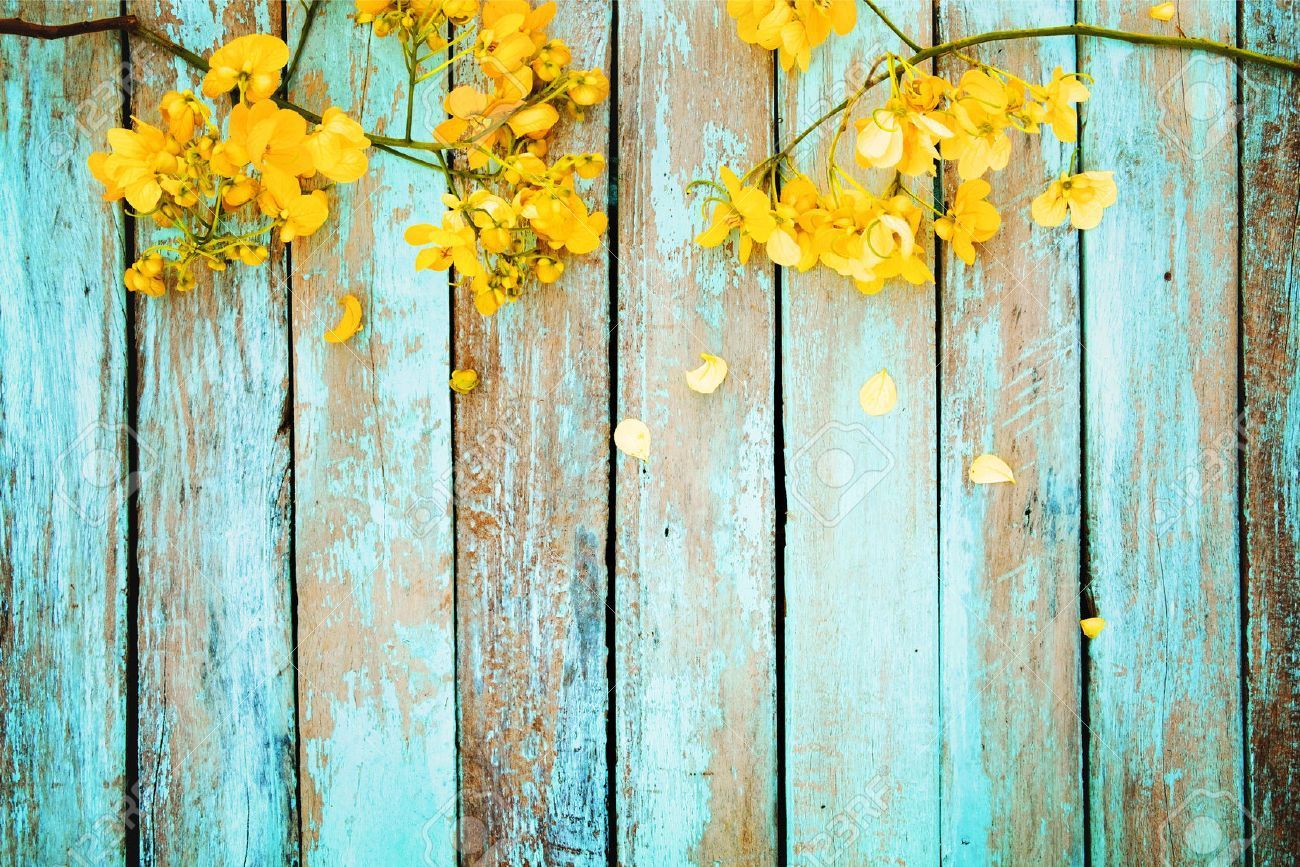 Rustic and yellow. Summer background, Border design, Flower background