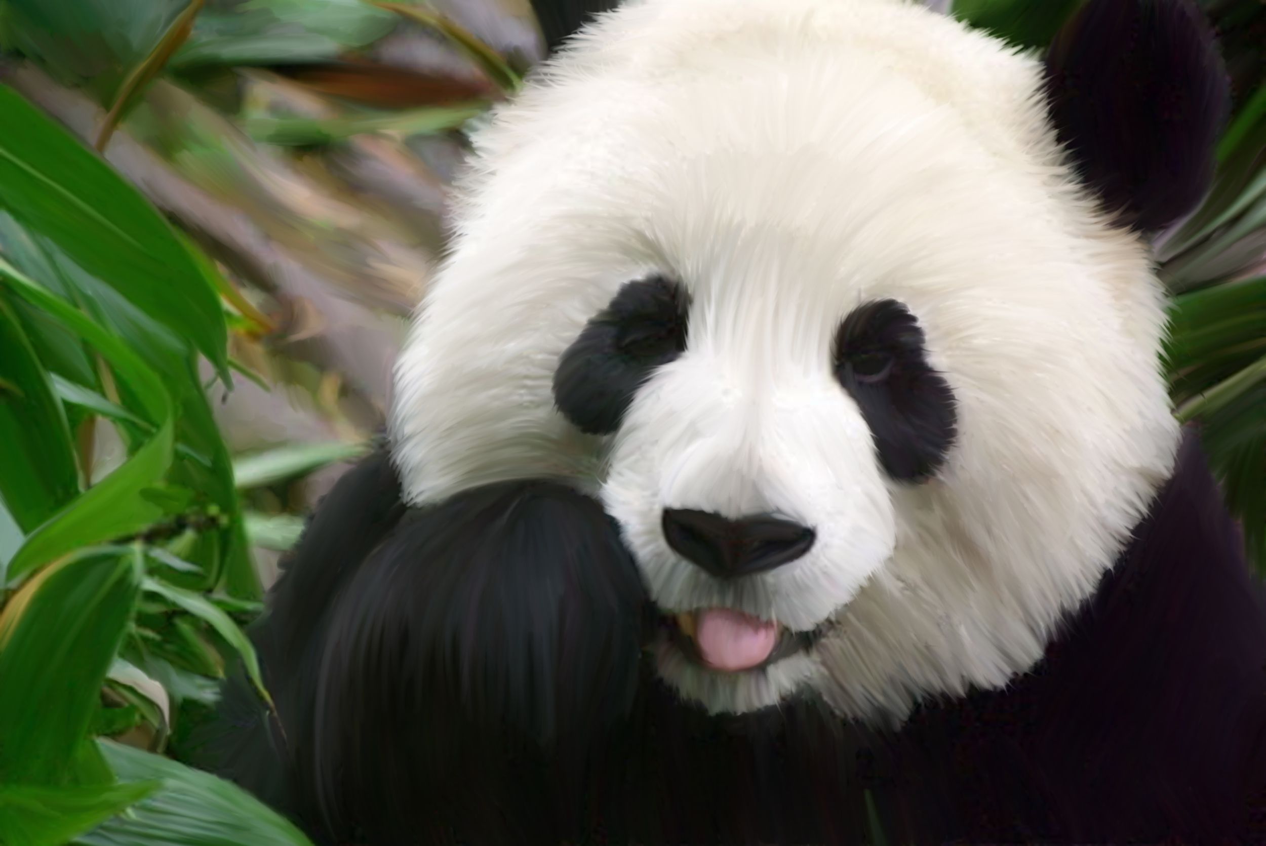 Cute Panda Bear Background