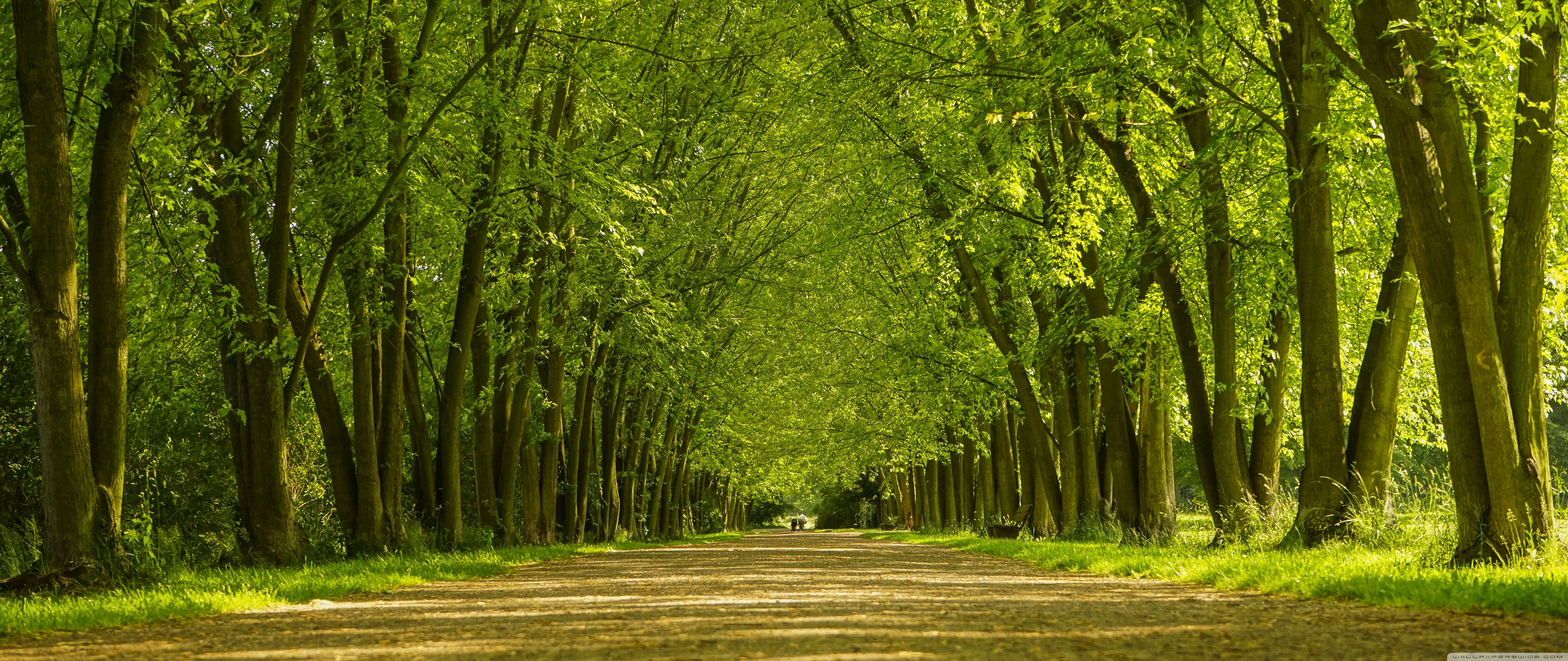 Wallpaper Wallpaper Superior 5120x2160 Wallpaper Background