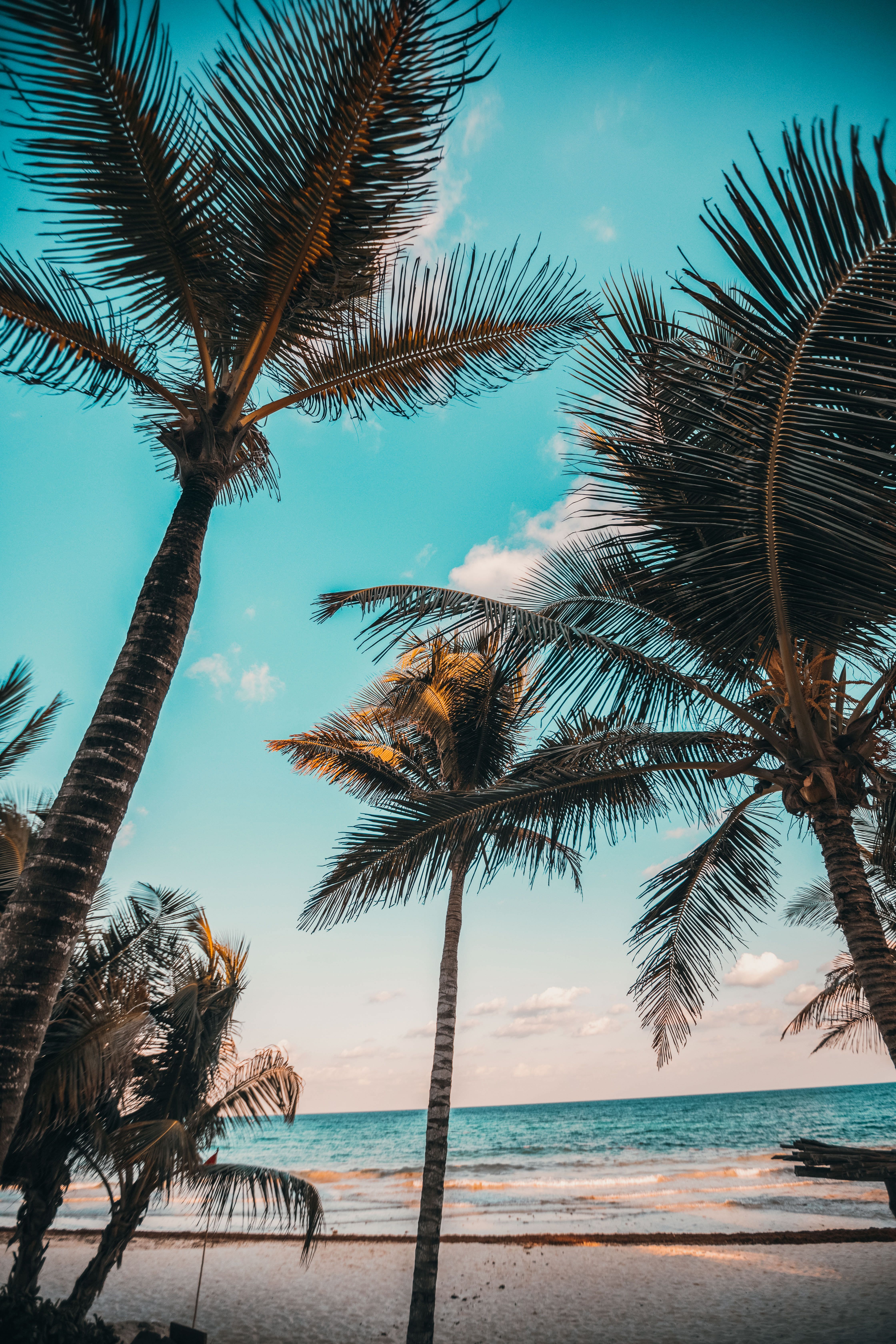 Mobile Lightroom Presets, Lightroom Filters, iPhone Presets, Lightroom Mobile Presets Moody, Instagram Presets, Rich Mobile Dng Preset. Tropic picture, Tropical wallpaper, Beach image