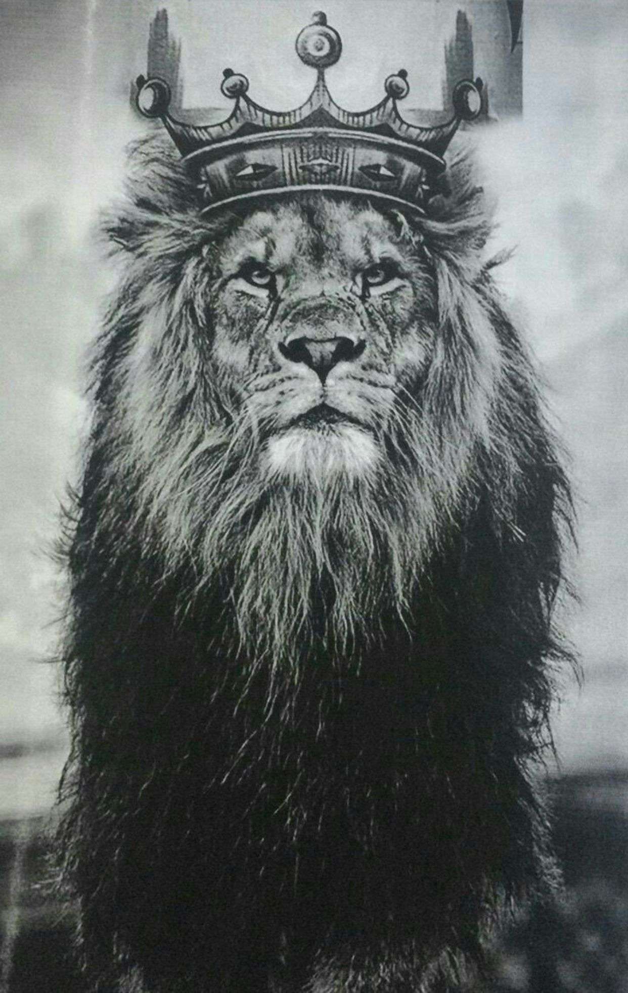Lion Crown iPhone Wallpaper