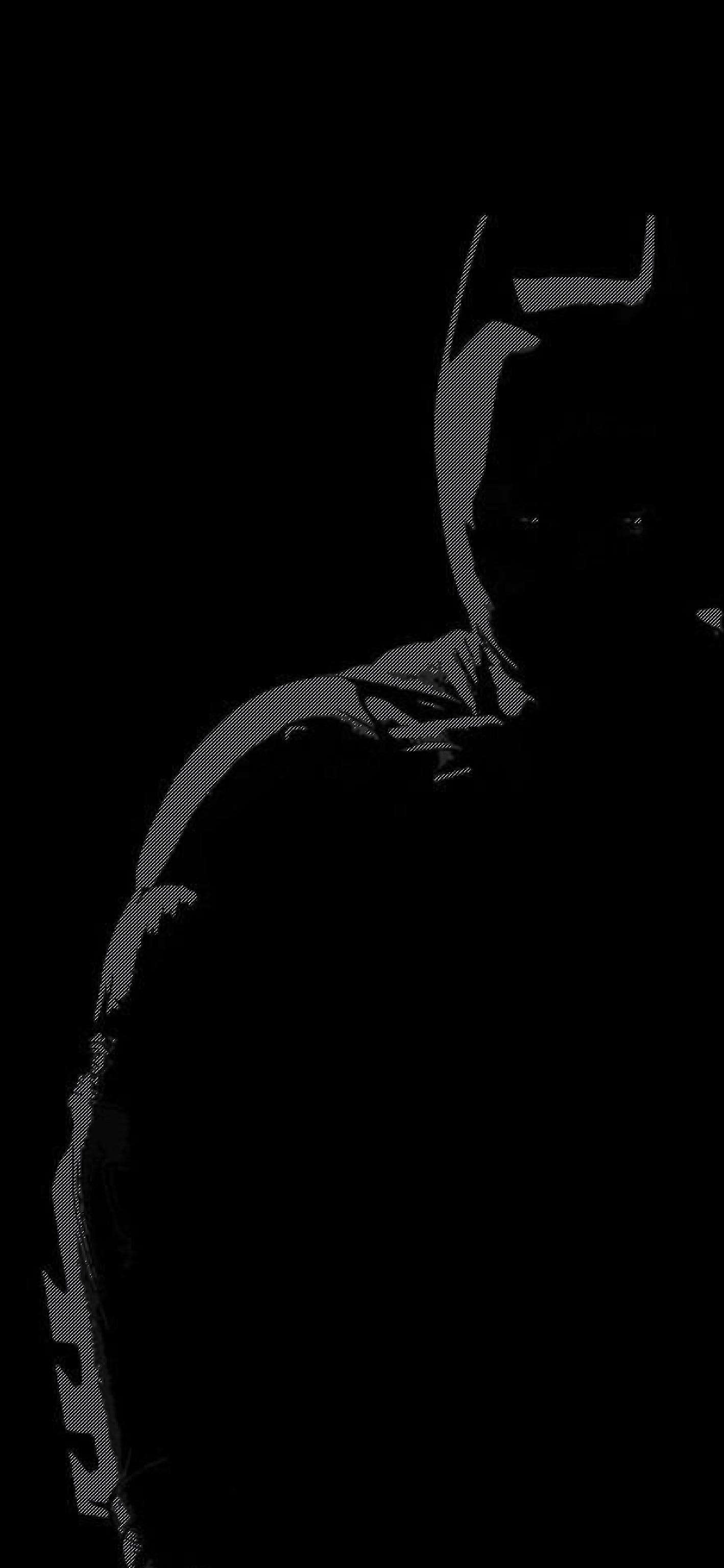 Sparkle Bats. Set with perspective. iPhone X Wallpaper X Wallpaper HD