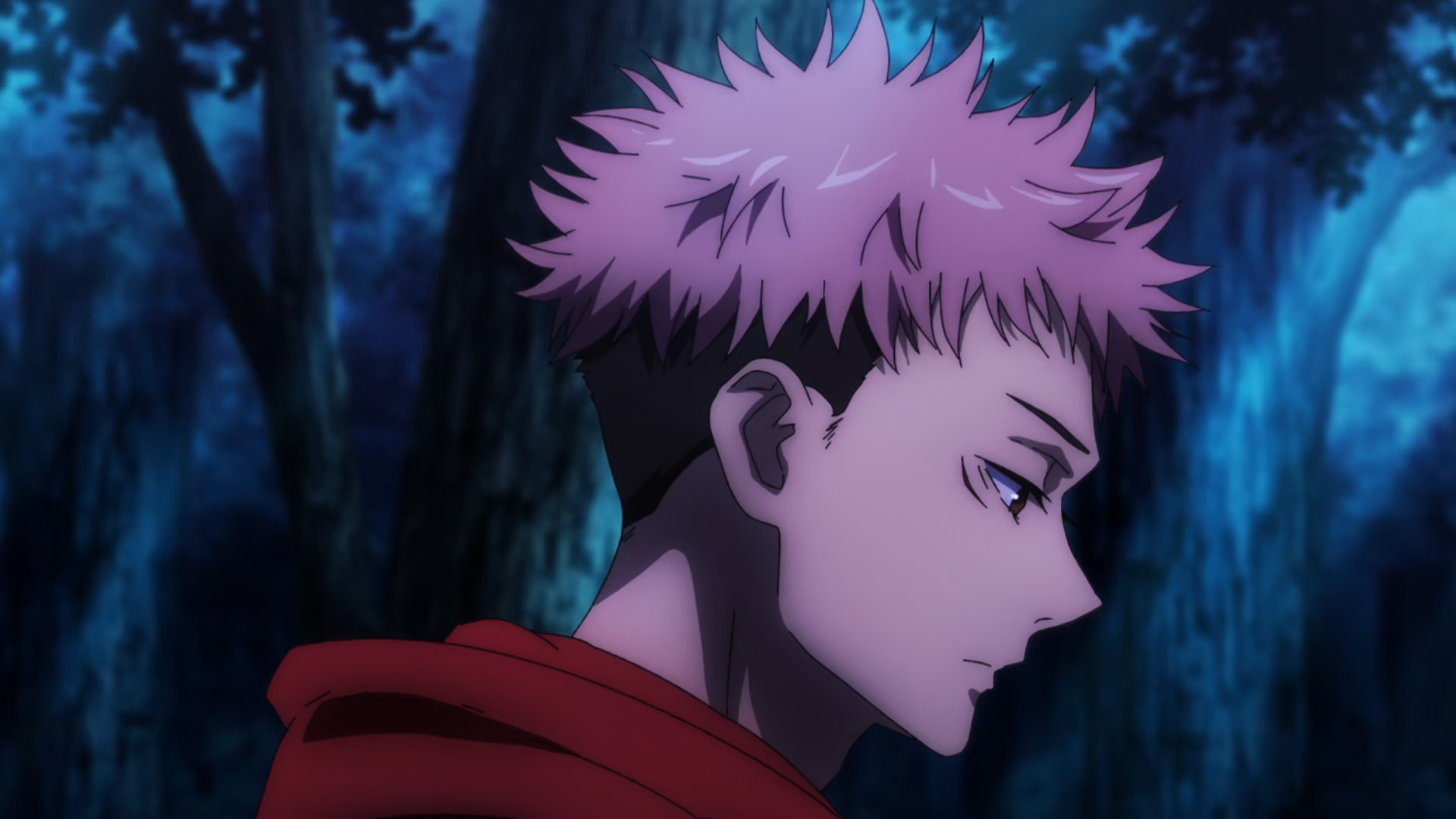 QaS] Jujutsu Kaisen [1080p HEVC x265 10bit Opus] (Sorcery Fight) - Nyaa