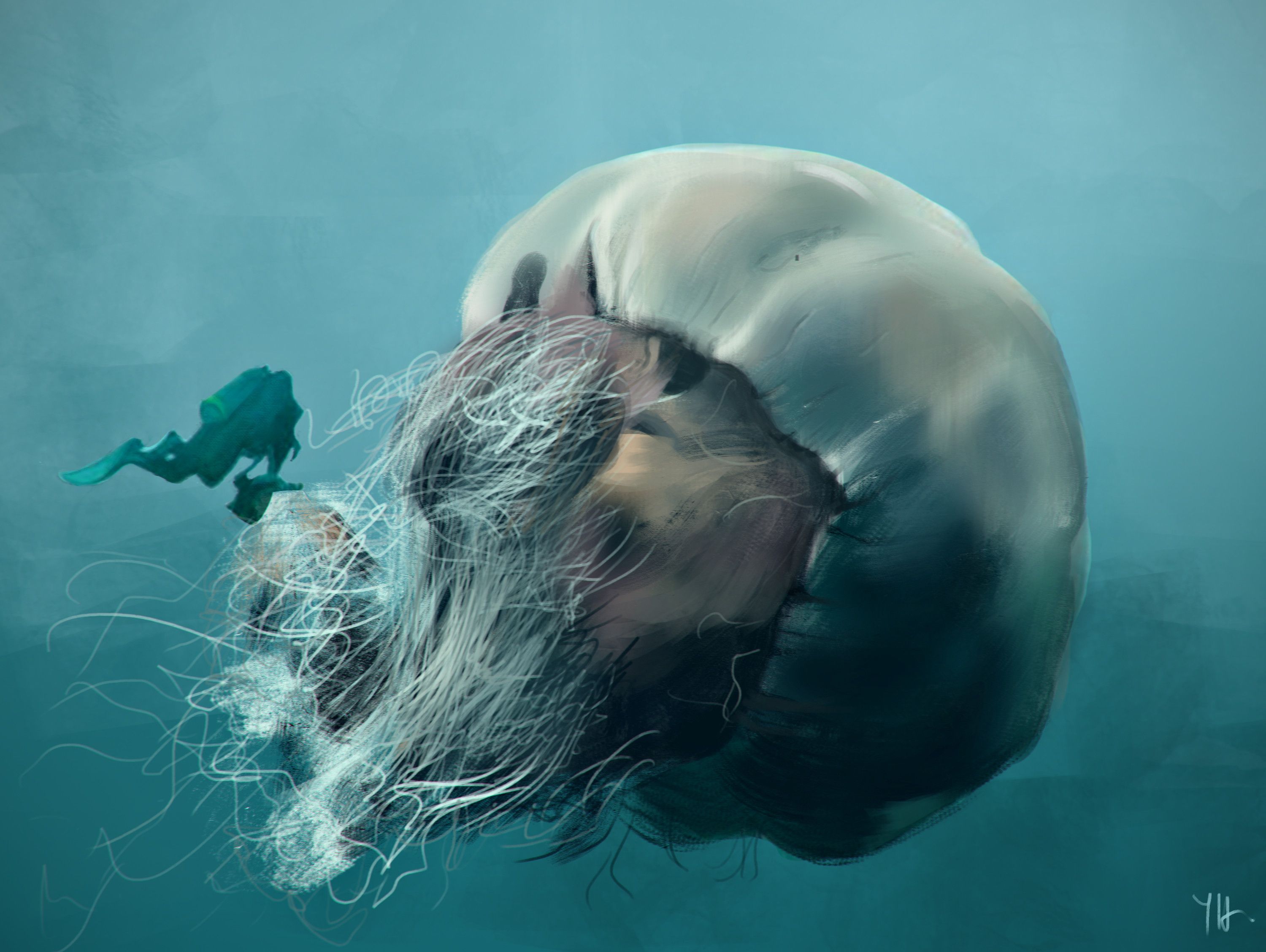 HOAX: This photo of a lion's mane jelly fish next to a diver is photohopped. The caption that usually goes with it. Lion's mane jellyfish, Jellyfish, Lion mane
