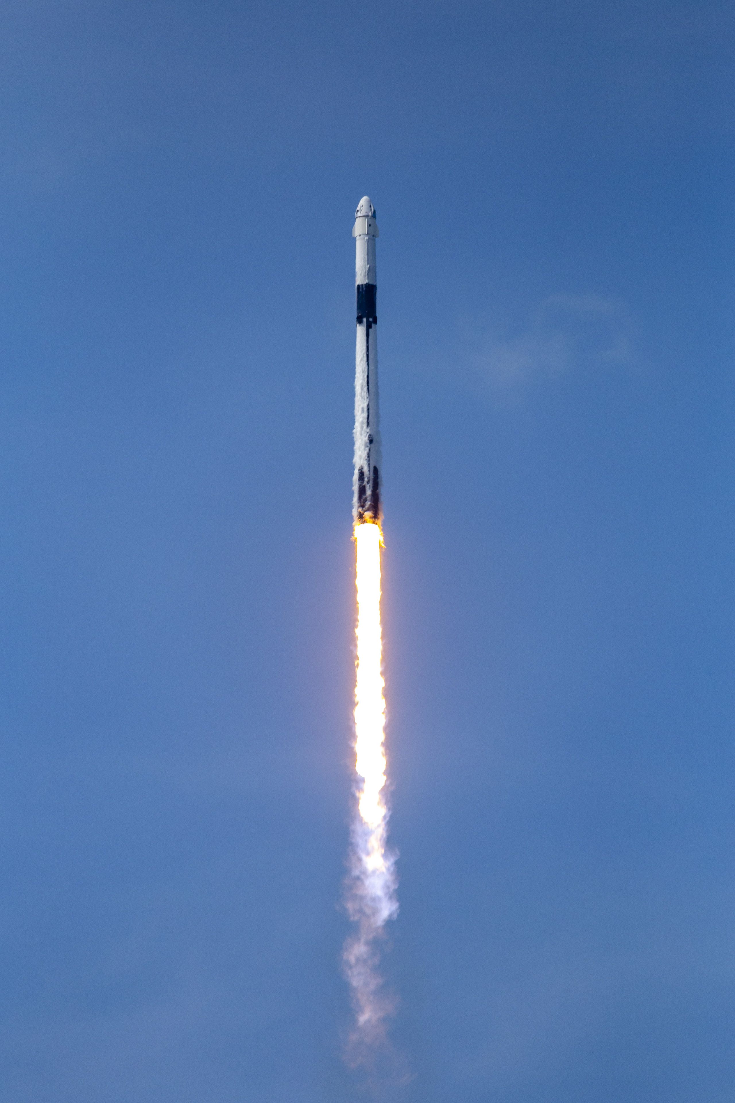 Falcon 9 Rocket On The Demo 2 Mission Spacex Wallpaper Phone. Spacex, Falcon 9 Rocket, Spacex Rocket