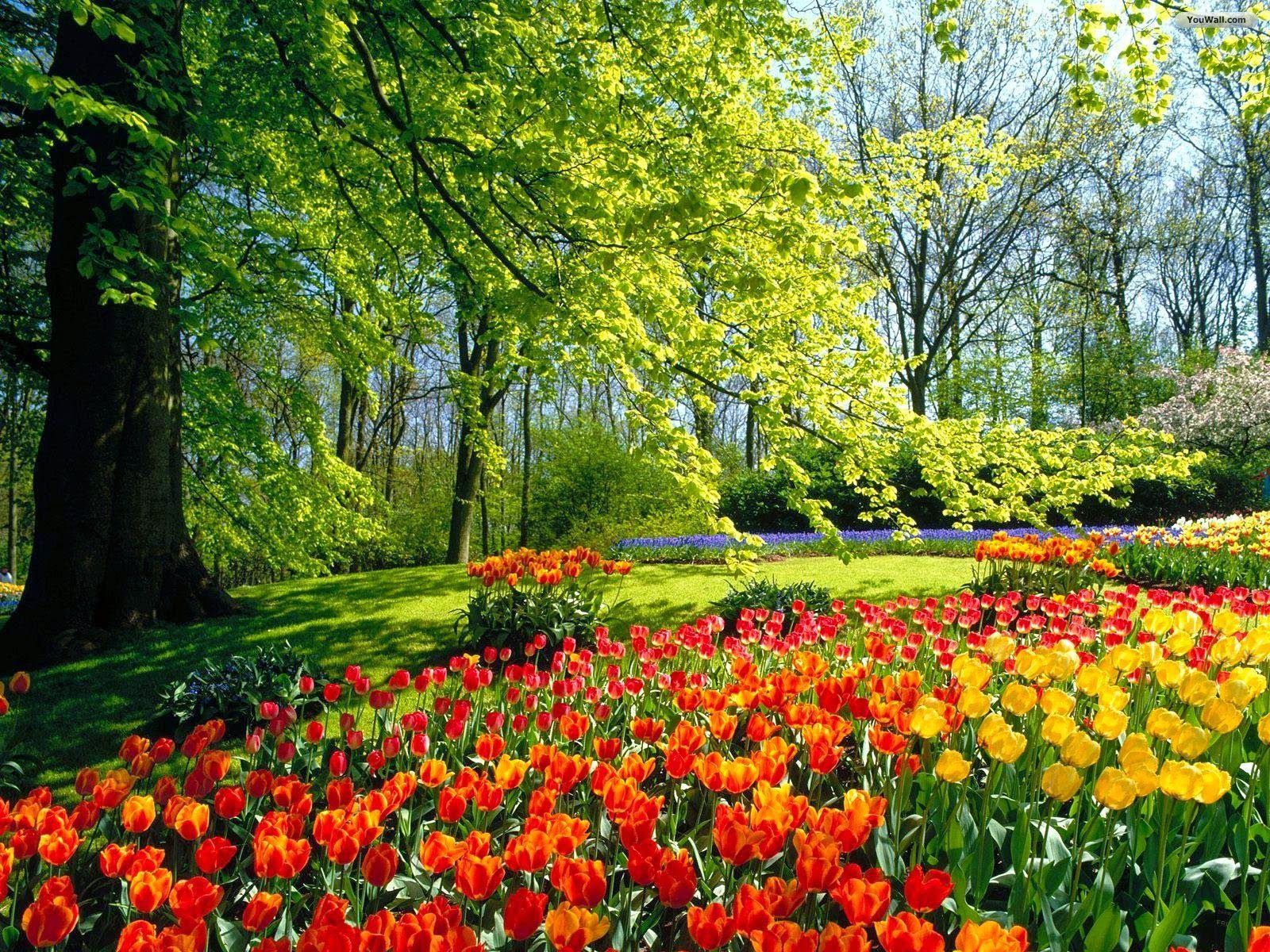 Spring Flower Garden Park Wallpaper