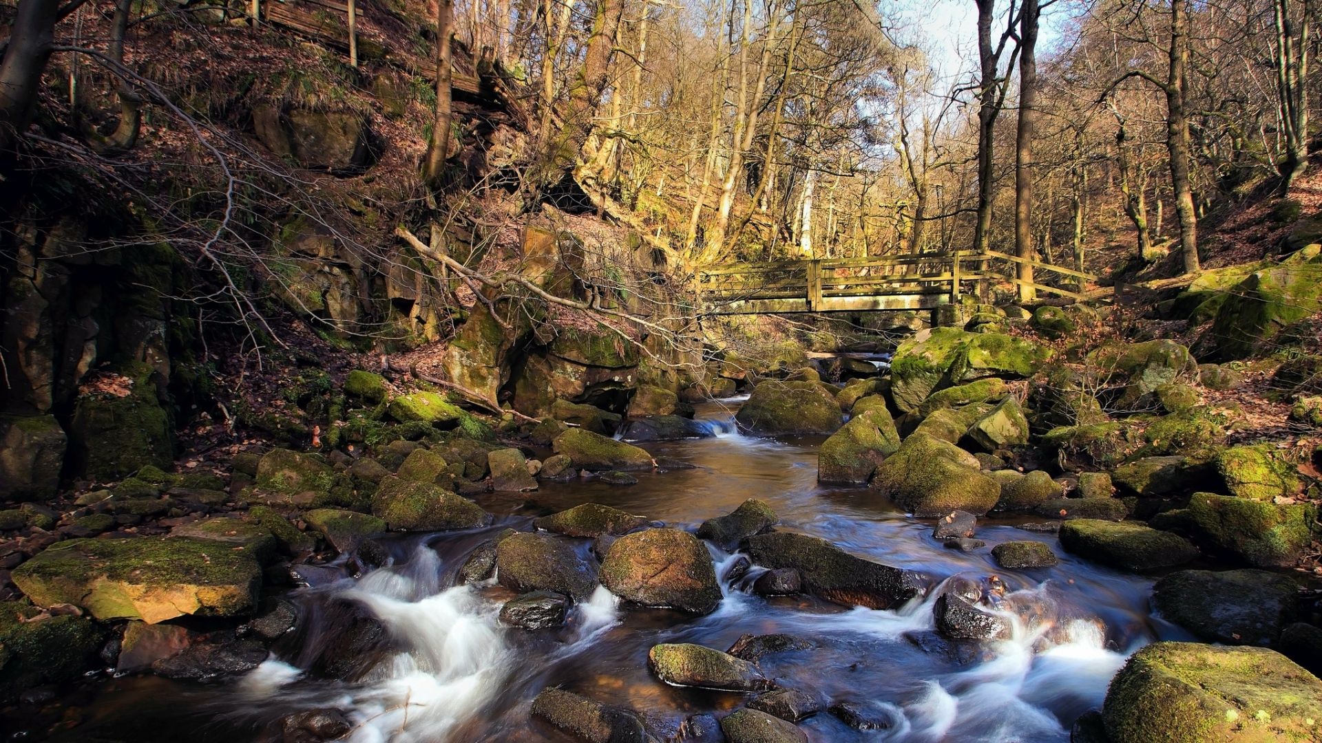 Download Wallpaper 1920x1080 spring, forest, river, stream, rocks, bridge Full HD 1080p HD Background