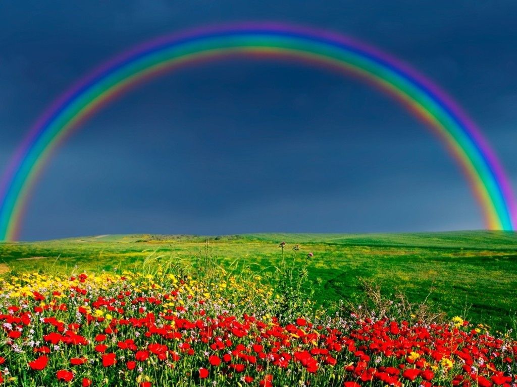 Rainbow. Landscape picture, Scenery picture, HD nature wallpaper