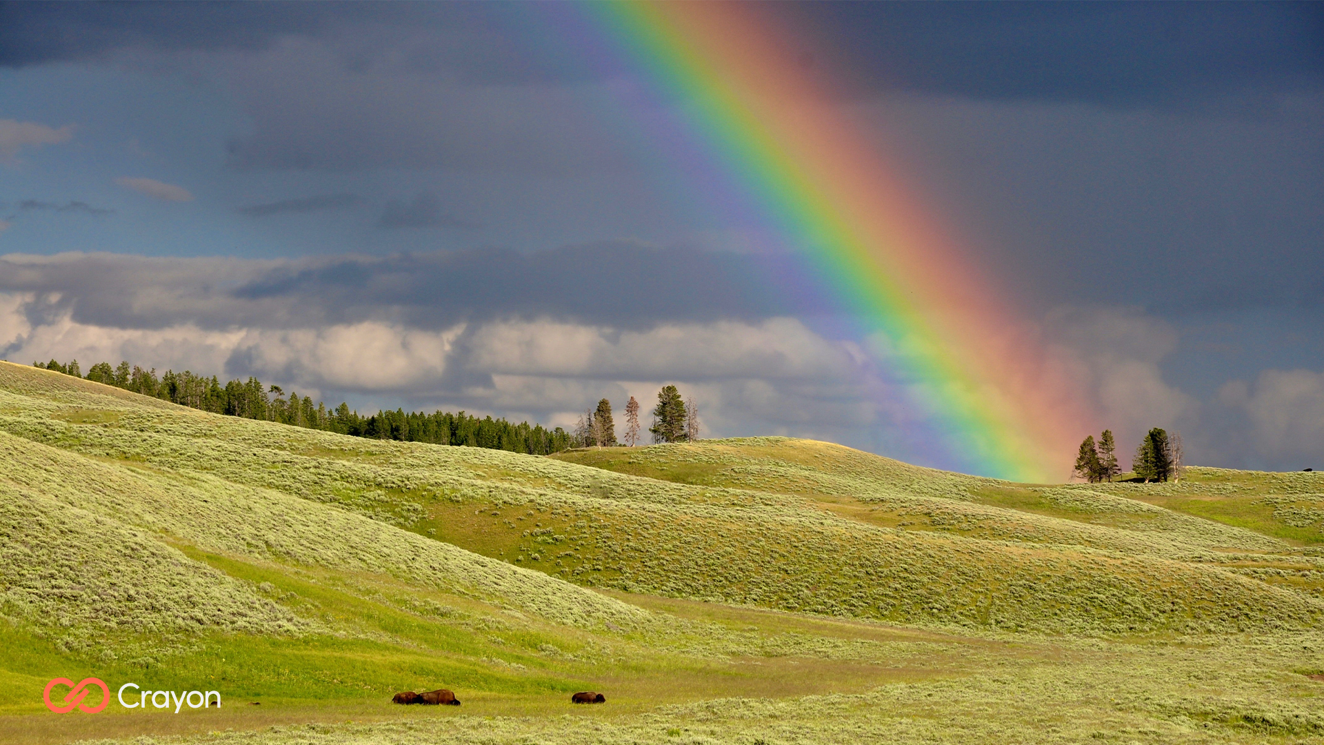 Free Spring Background for Microsoft Teams