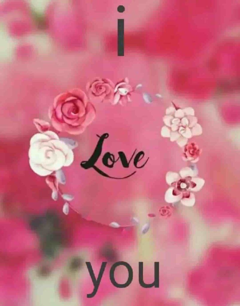 Love Wallpaper Whatsapp Dp Download