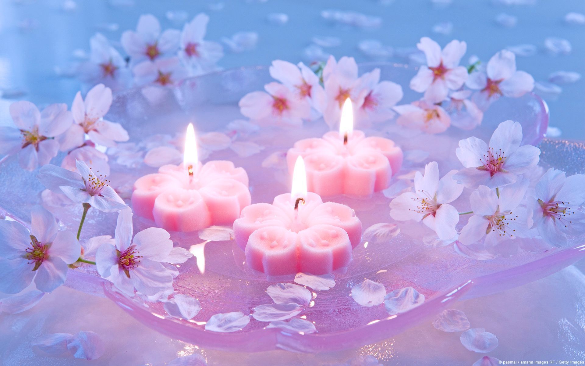 Pink Candles Wallpaper Free Pink Candles Background