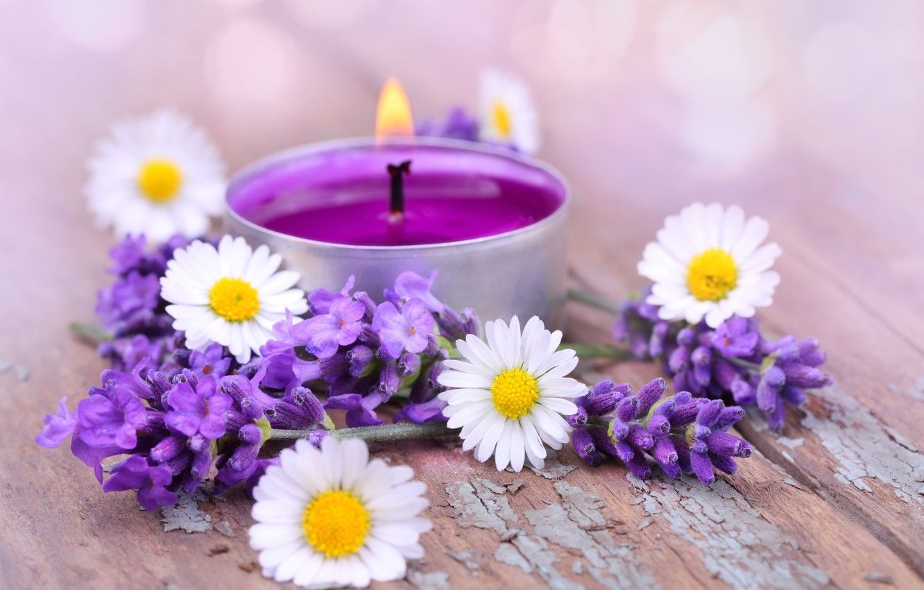 Wallpaper flowers, candles, petals, lavender image for desktop, section цветы