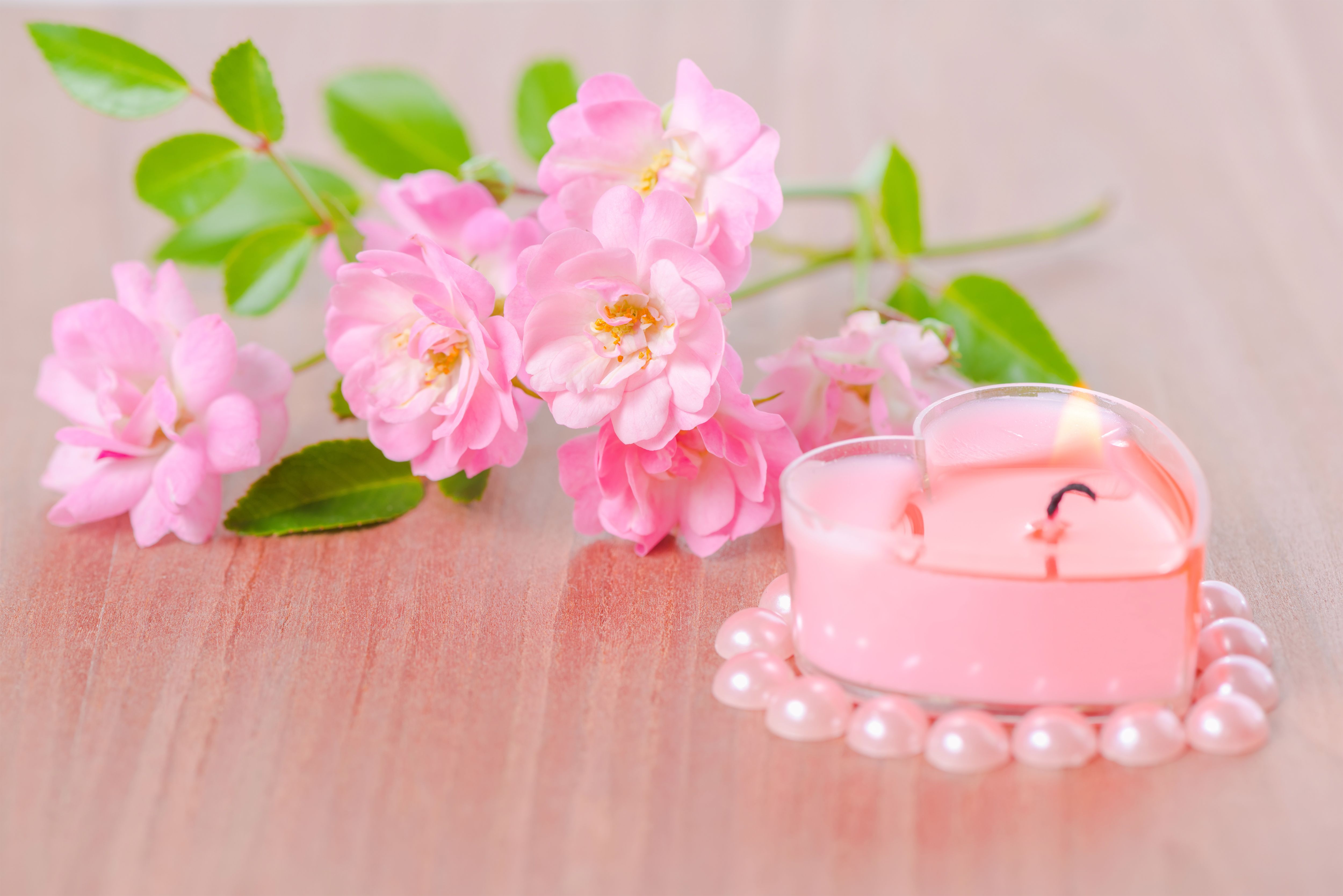 Pink Spring Background With Candle Quality Image And Transparent PNG Free Clipart
