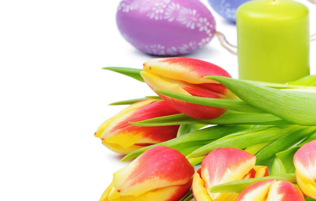 Wallpaper flowers, candle, spring, Easter, tulips, Easter, Tulips, Candles image for desktop, section праздники