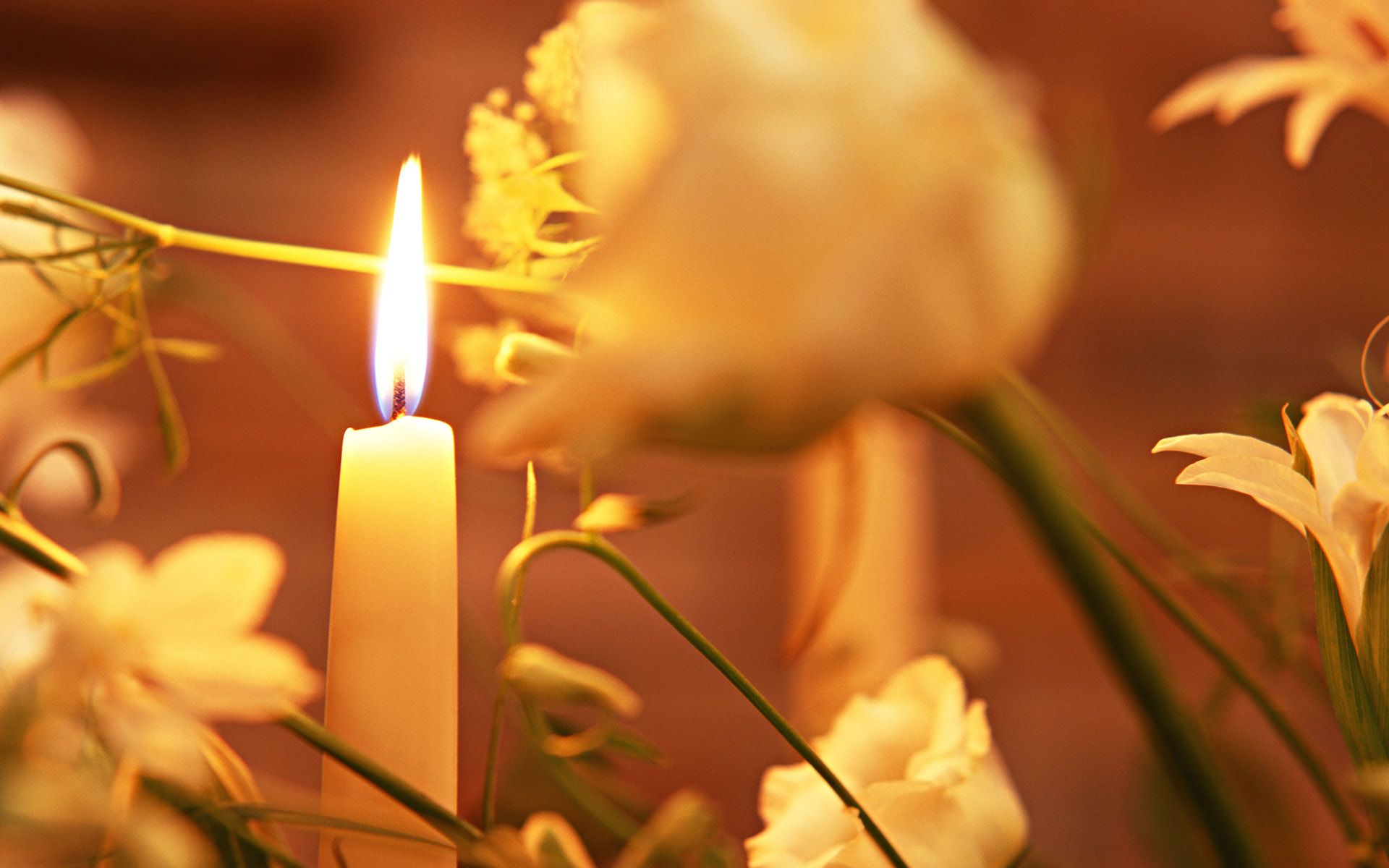 Candle wallpaper 13578
