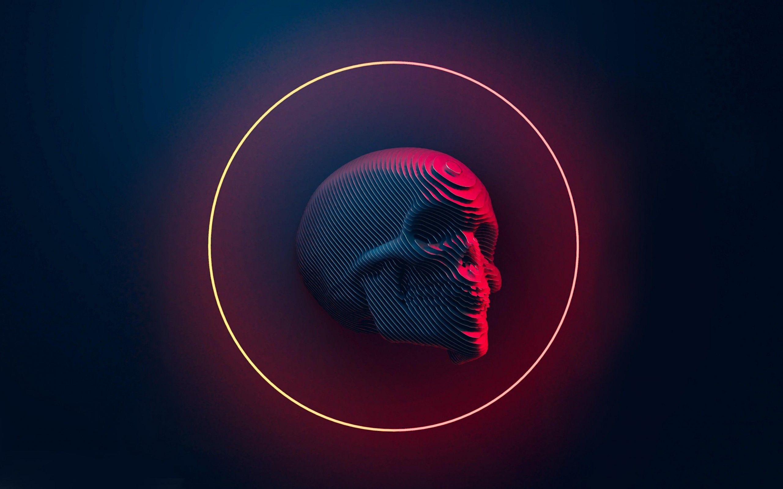 Just Another Skull 4K Wallpaper 2560x1600 Hot Desktop and background for your PC and mobile