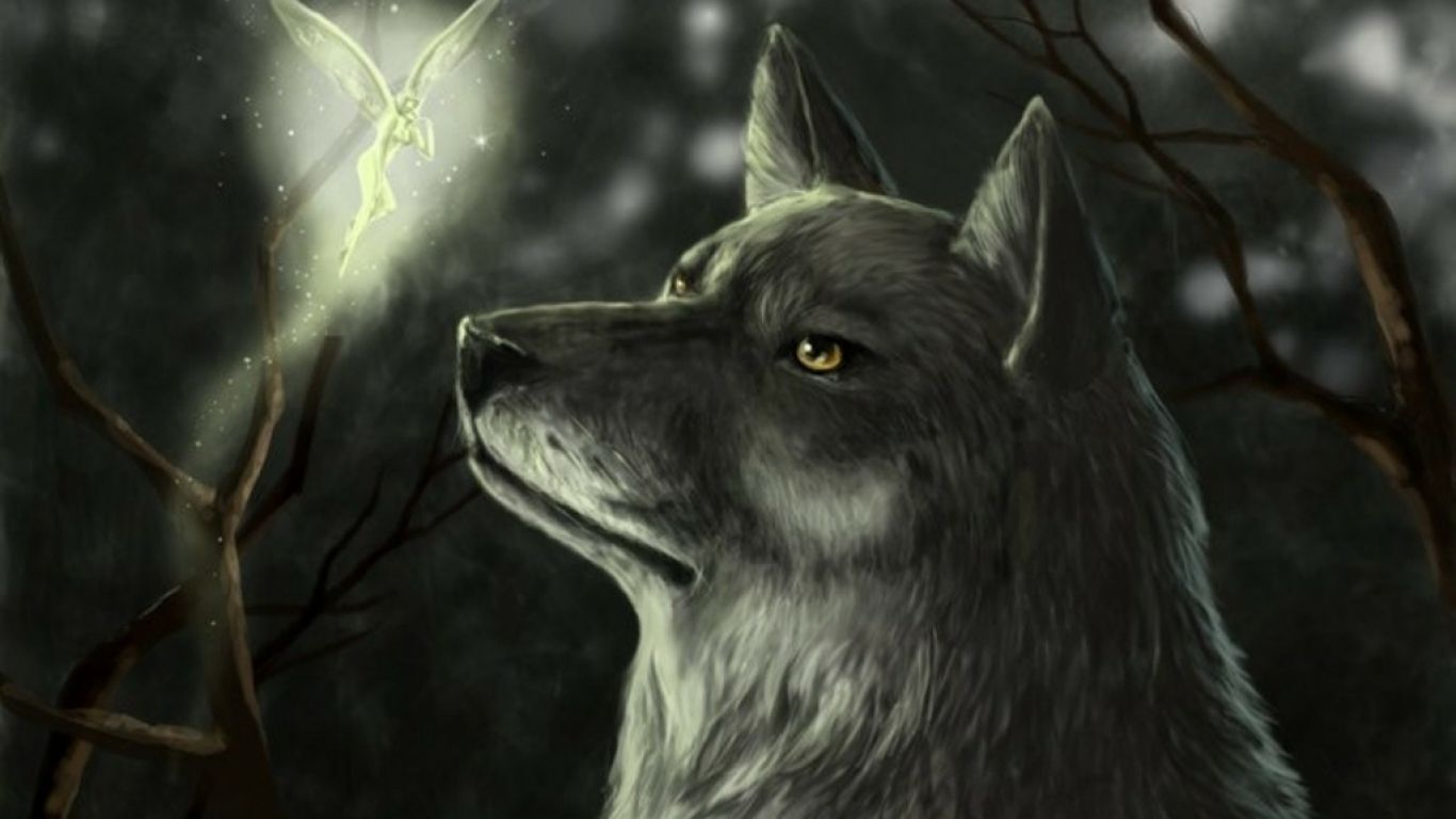 Dark Wolf Background