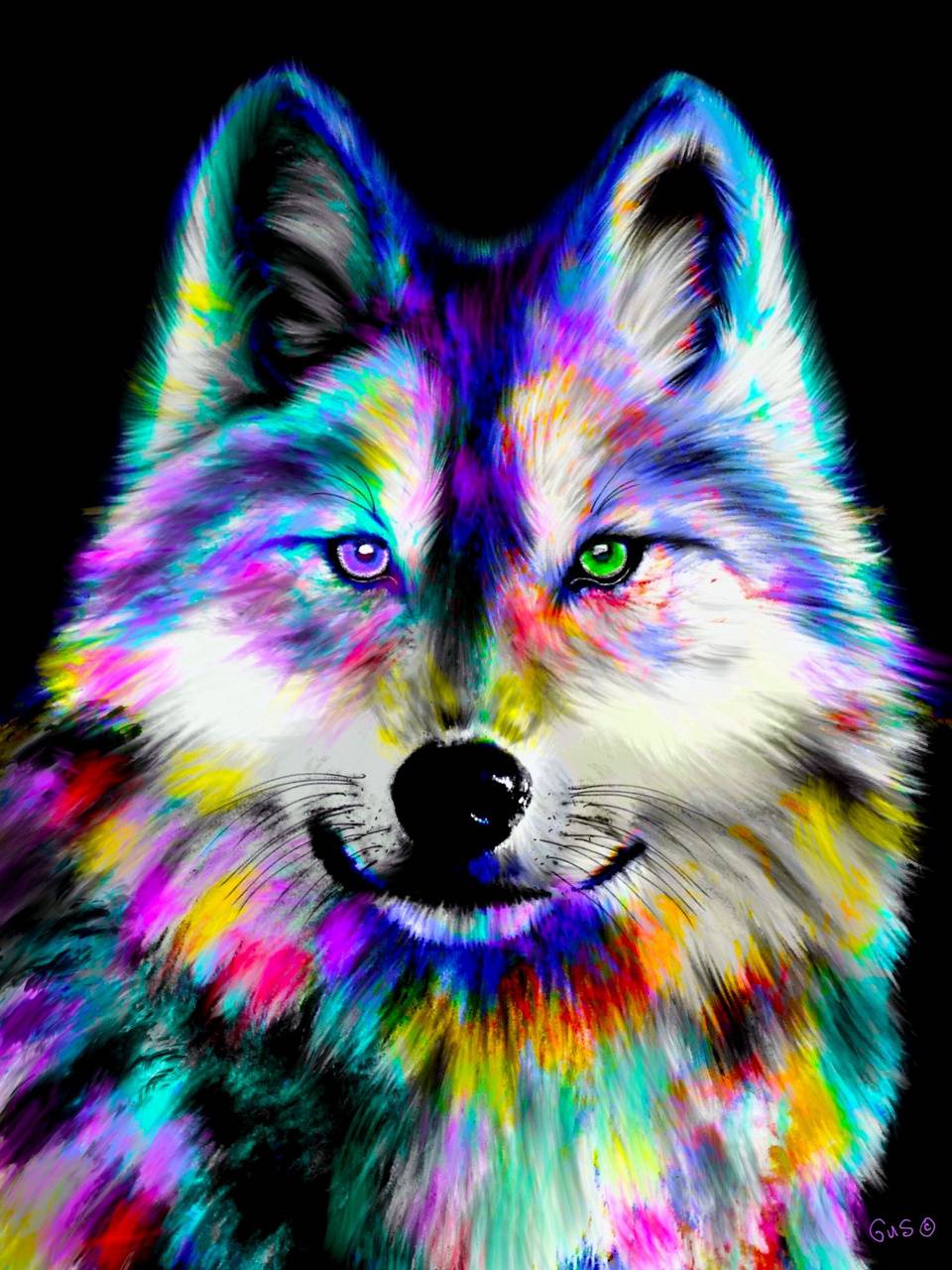 Download Rainbow Wolf Wallpaper HD By ___Vivid___. Wallpaper HD.Com