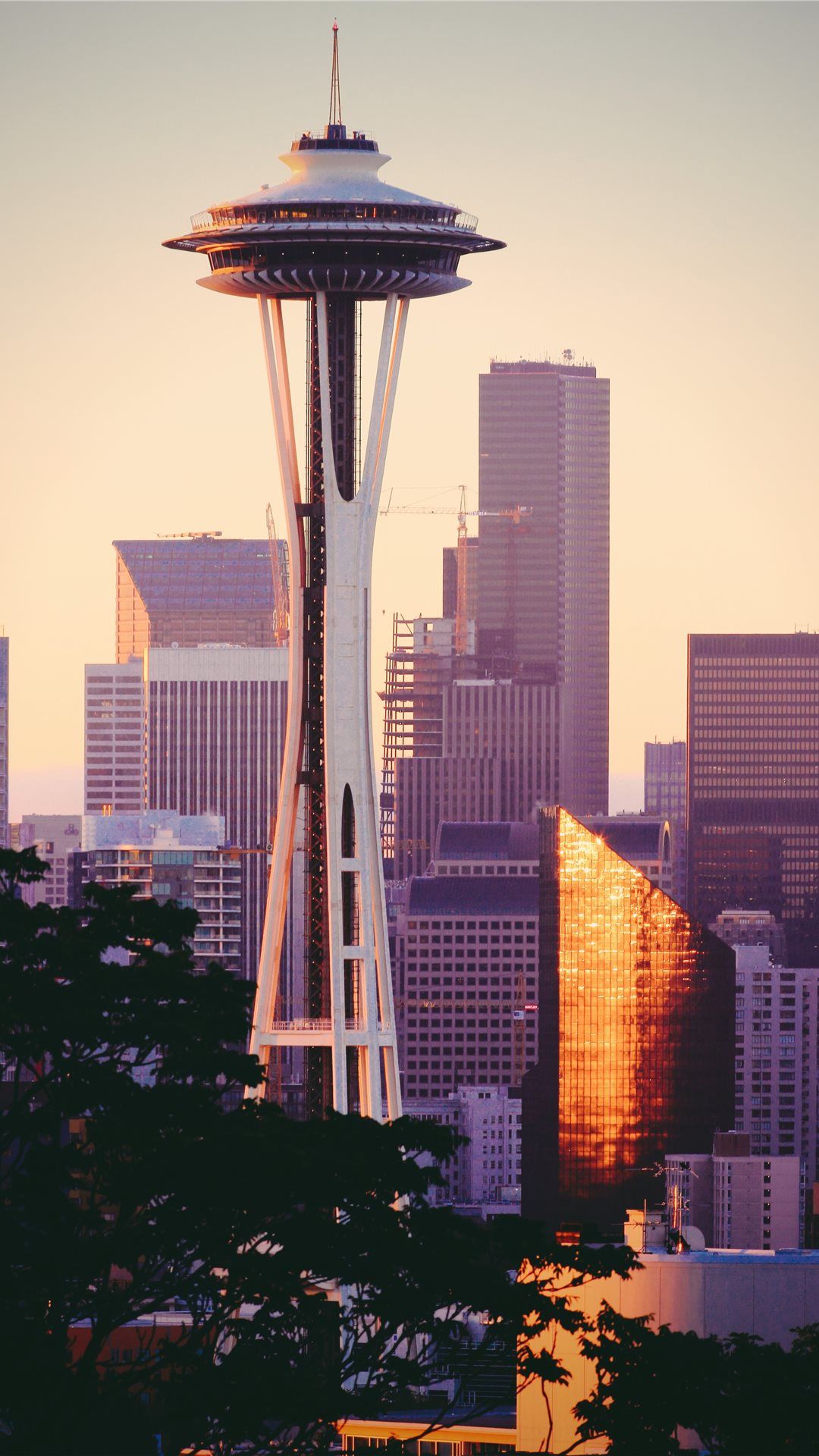 SpaceNeedle in the Morning iPhone 8 Wallpaper Free Download
