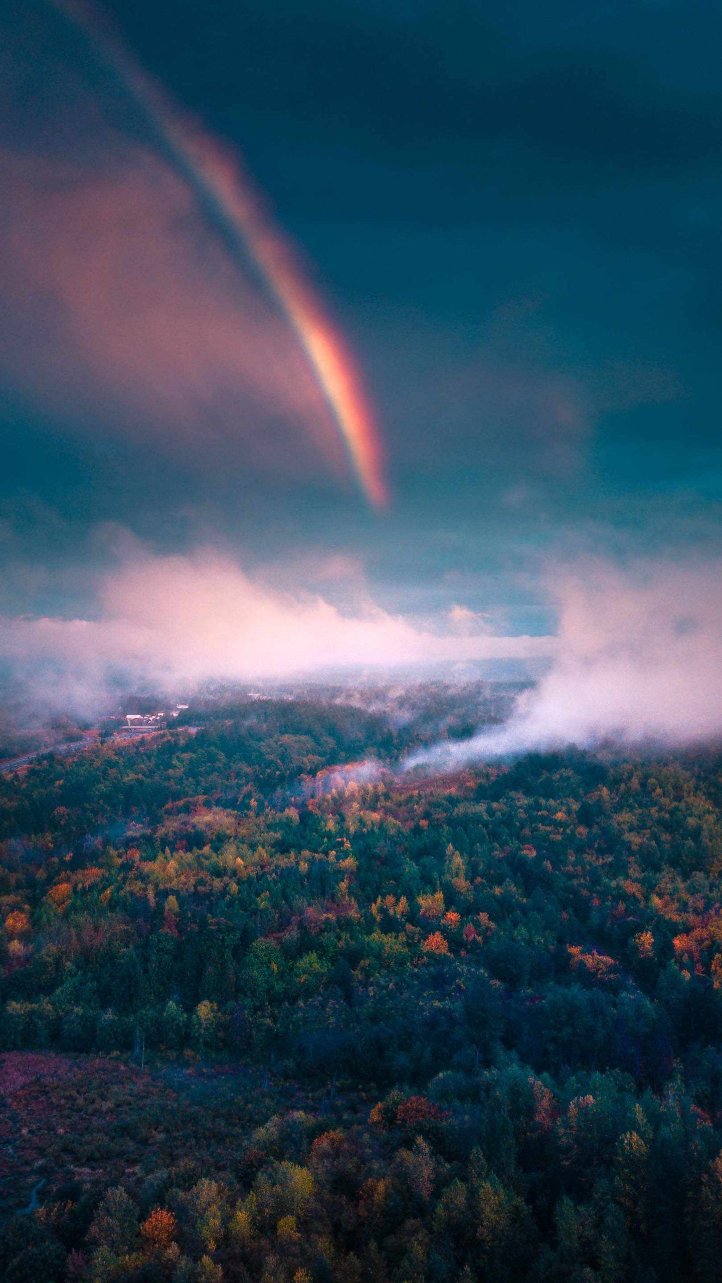 Nature Rainbow Forest Morning Mist iPhone 11 Wallpaper