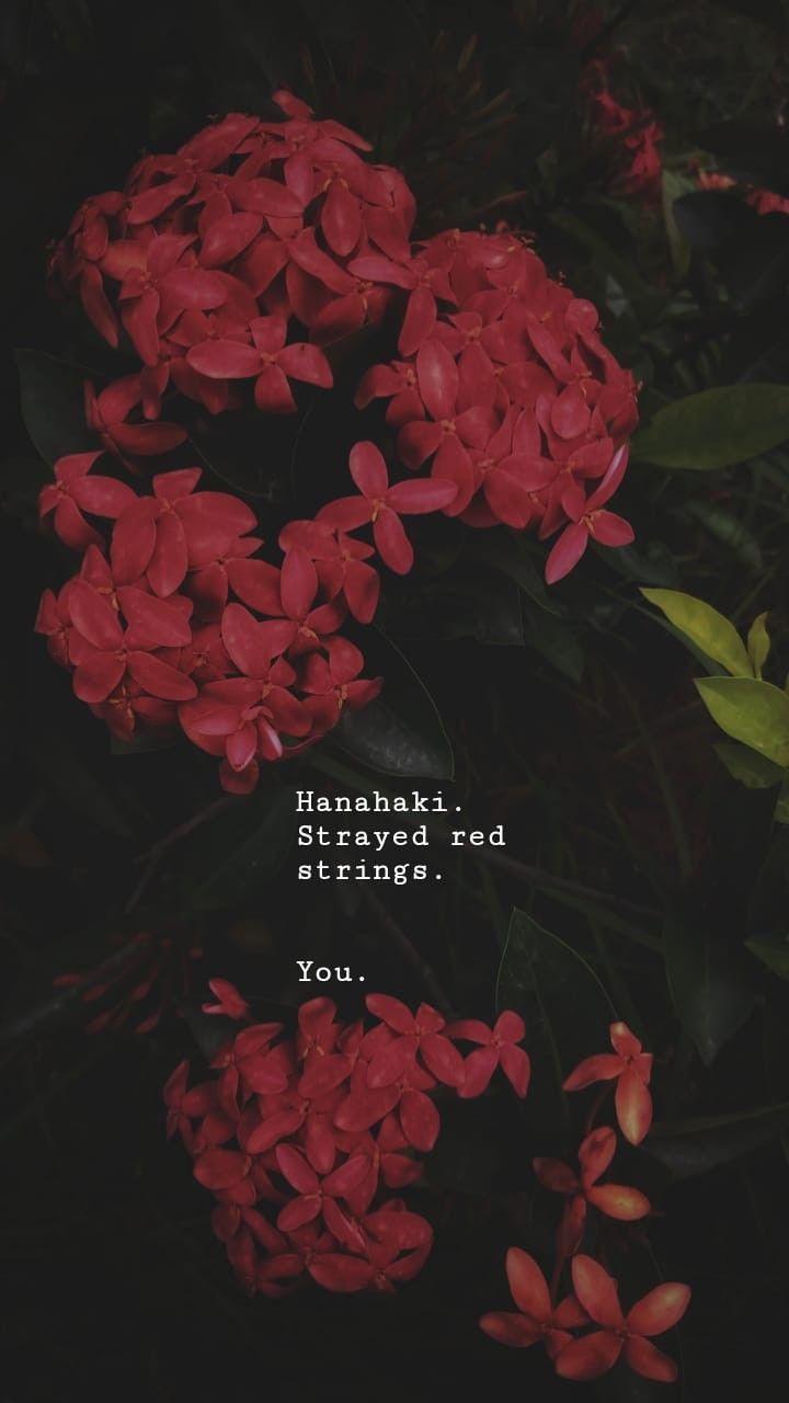 The BLOOMS. Disease quote, Soulmate, Unrequited love