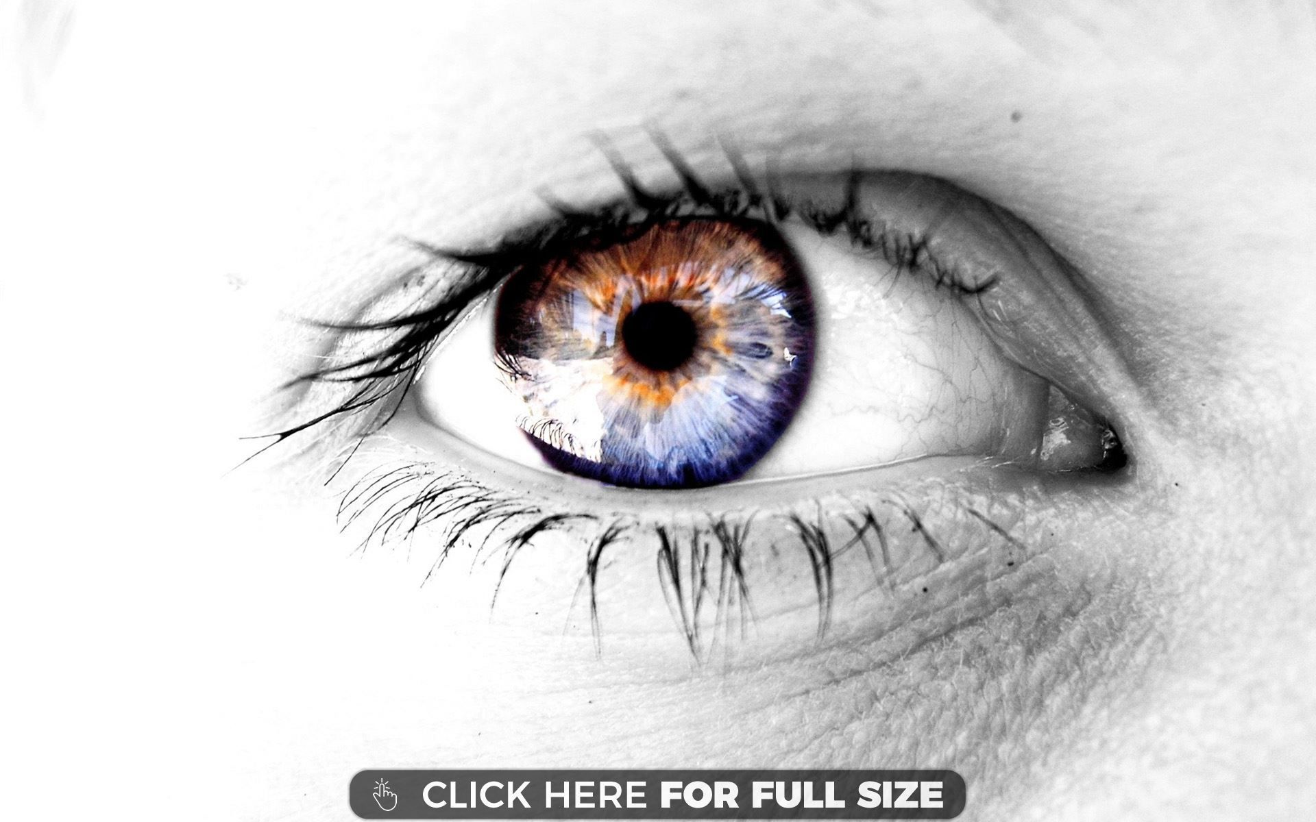 Rainbow Eye Closeup wallpaper. Eyes wallpaper, Eye art, White eyes