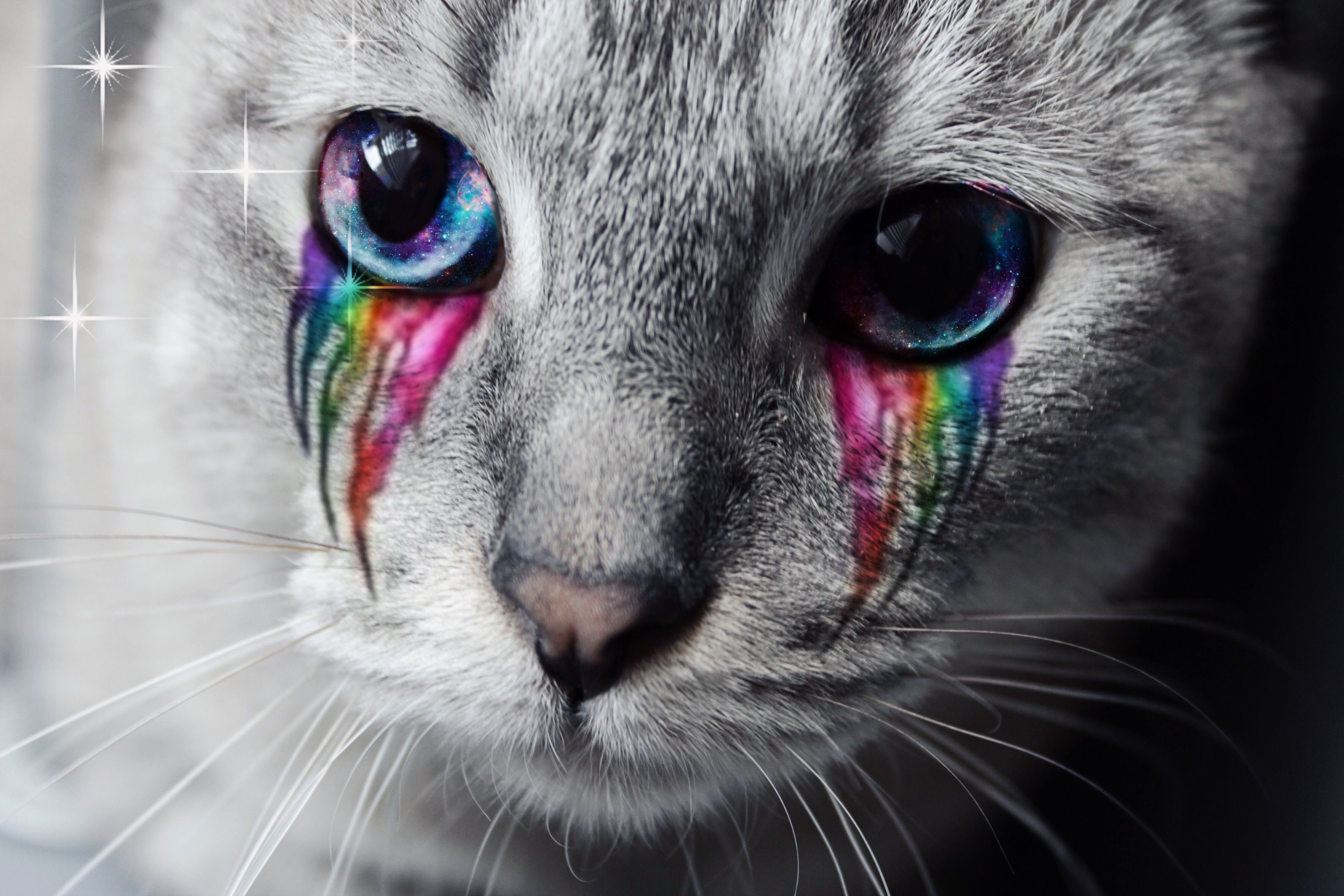 Cat with Rainbow Eyes