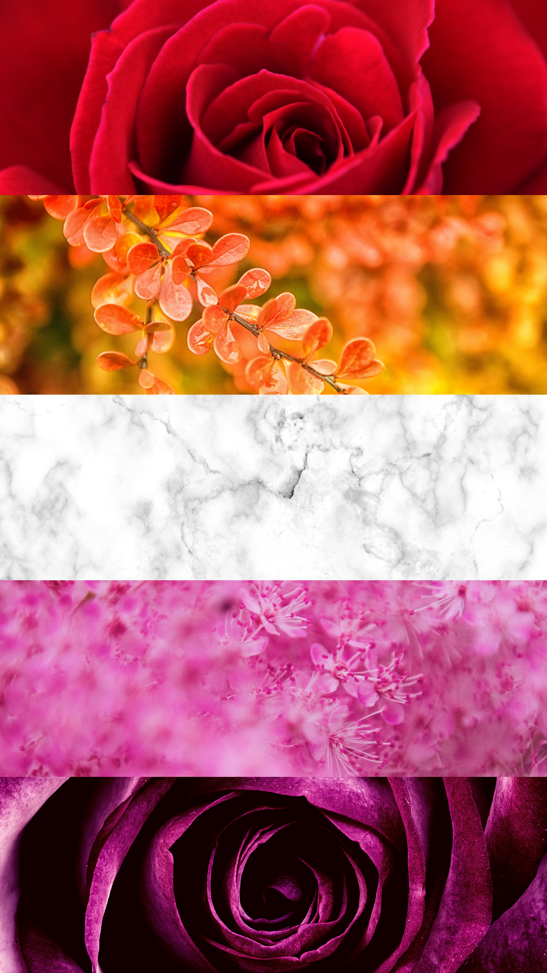 I made a lesbian flag wallpaper