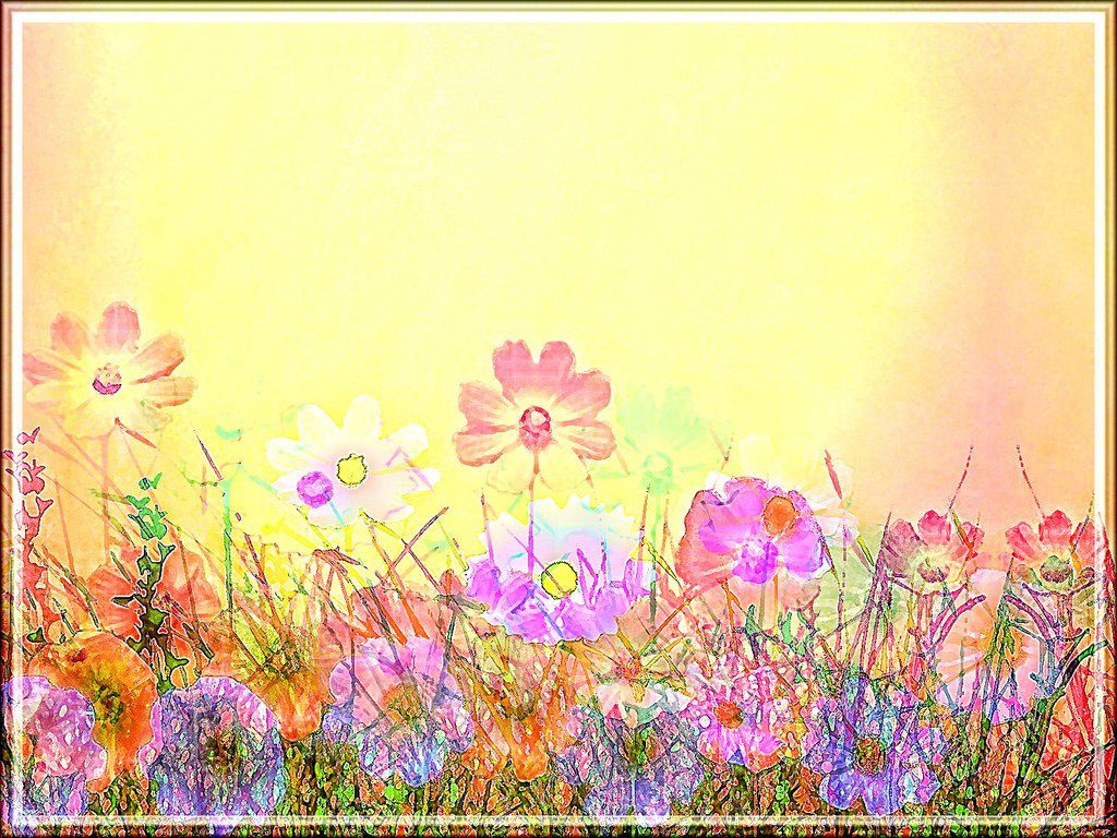Field of Spring Flowers Wallpaper