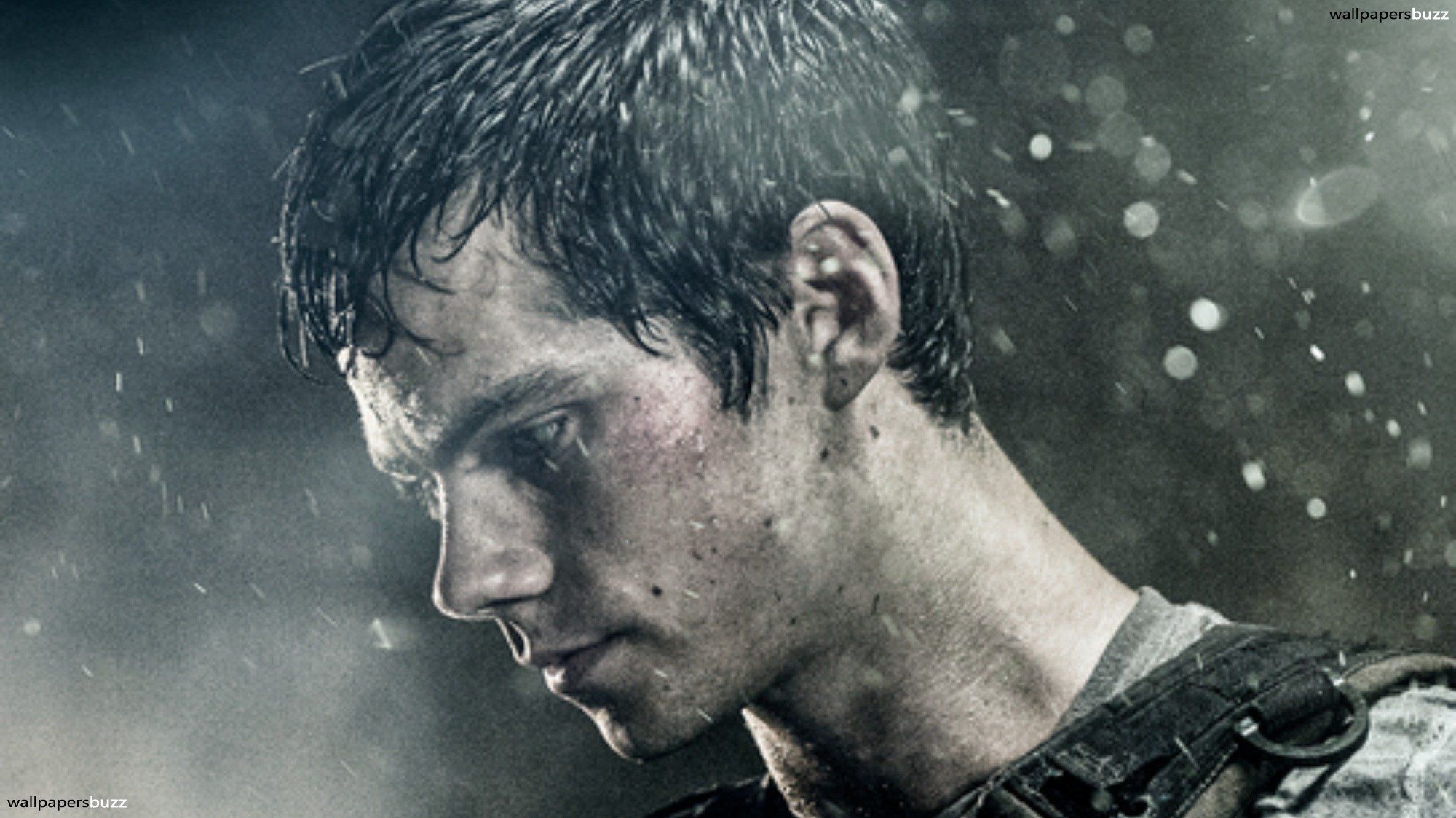 Download Maze Runner Dylan As Thomas Wallpaper