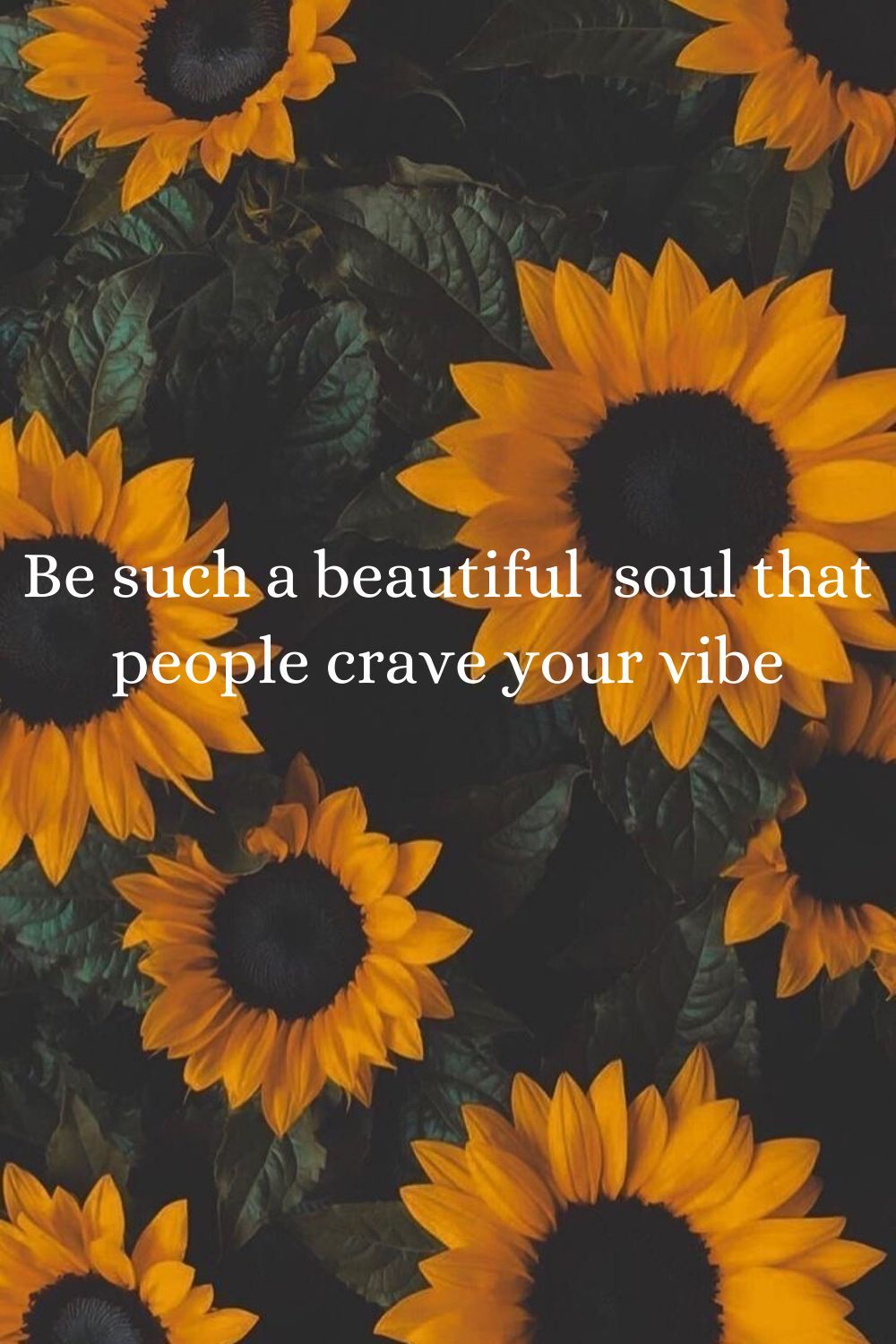 Beautiful soul. Sunflower quotes, Sunflower picture, Sunflower wallpaper