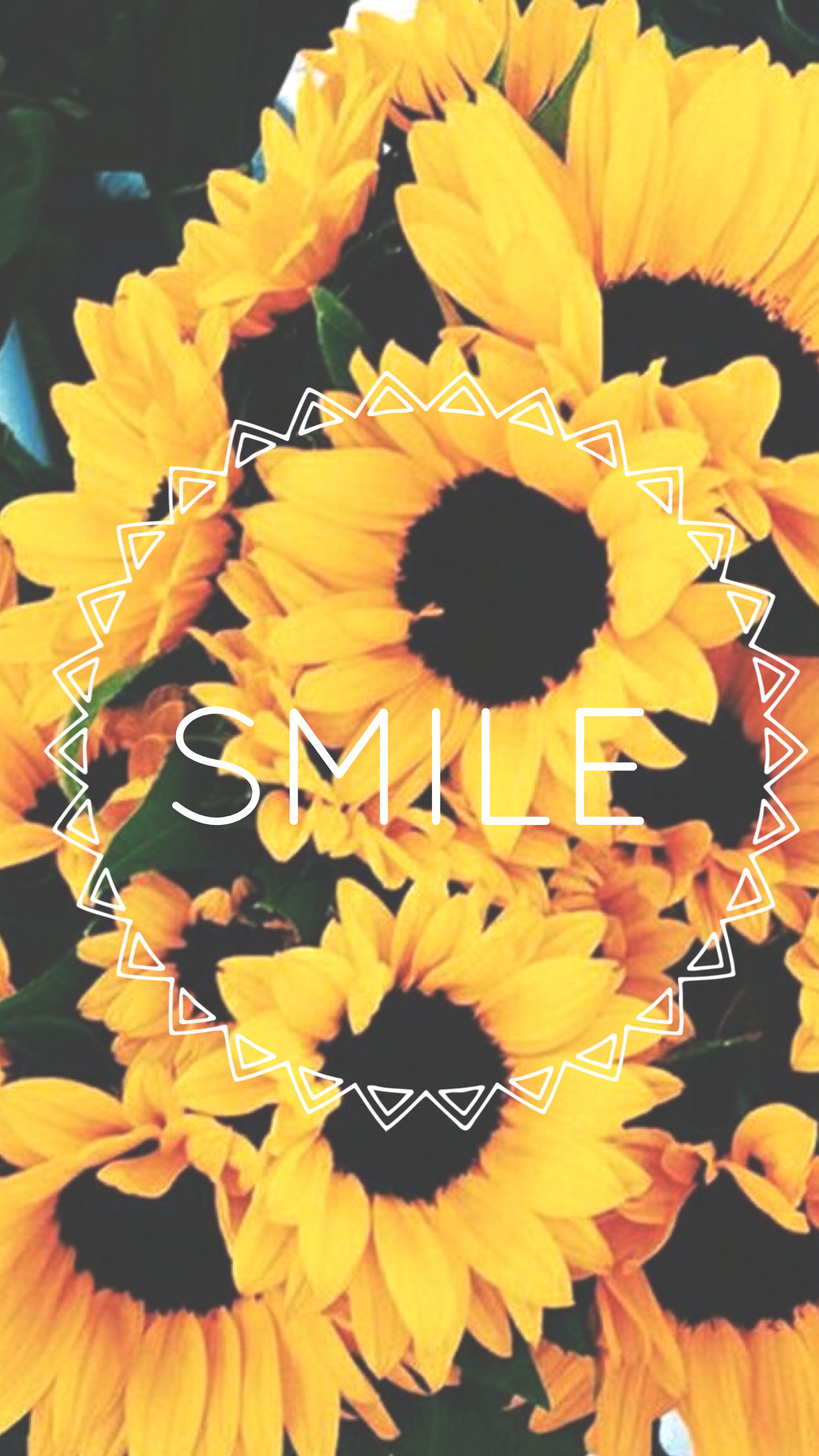 Yellow Aesthetic Quotes Background Sunflowers