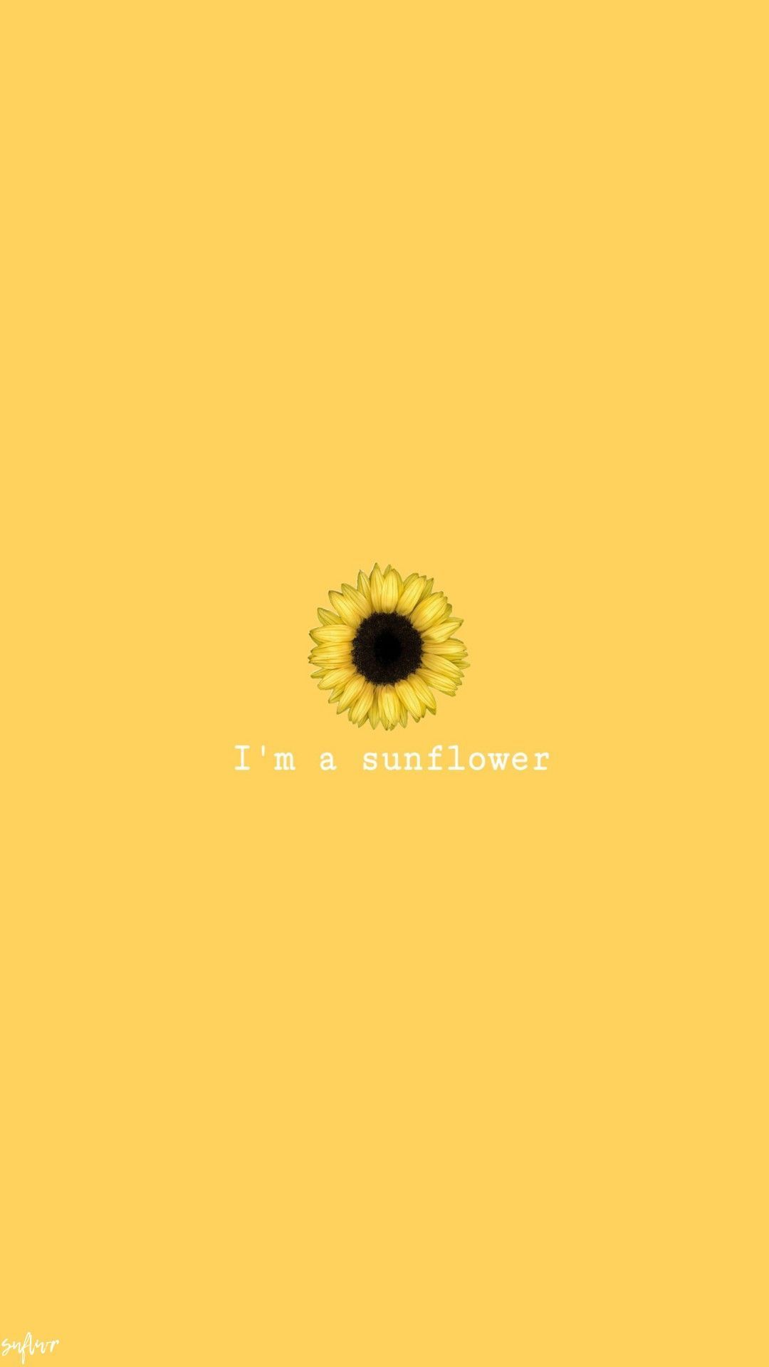 Tumblr sunflowers quotes Free png sunflower png tumblr png image with transparent sun