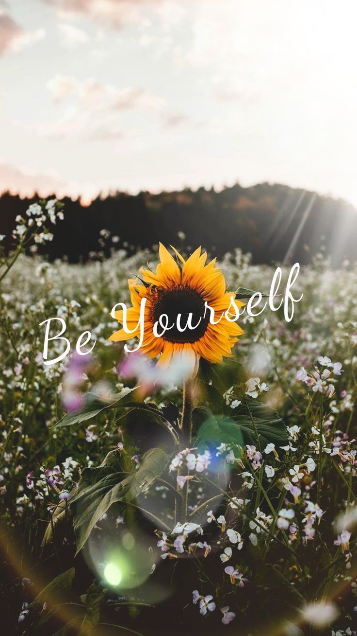 Be Yourself. Inspiration. Self Love Be Yourself. Inspiration. Self Love The post Be Yours. Sunflower iphone wallpaper, Sunflower quotes, Sunflower wallpaper