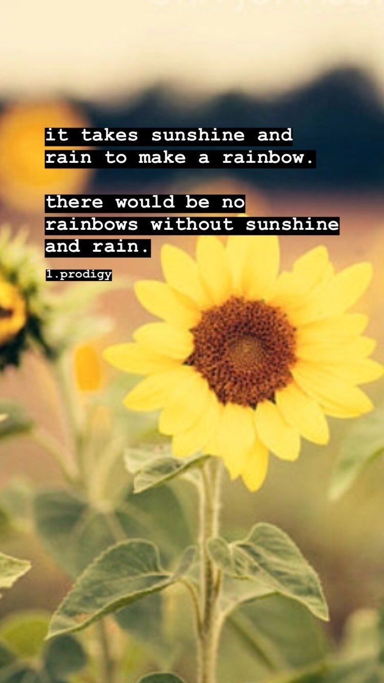 p r o d i g y • Instagram photo and videos. Sunshine quotes, Sunflower quotes, Rainbow quote