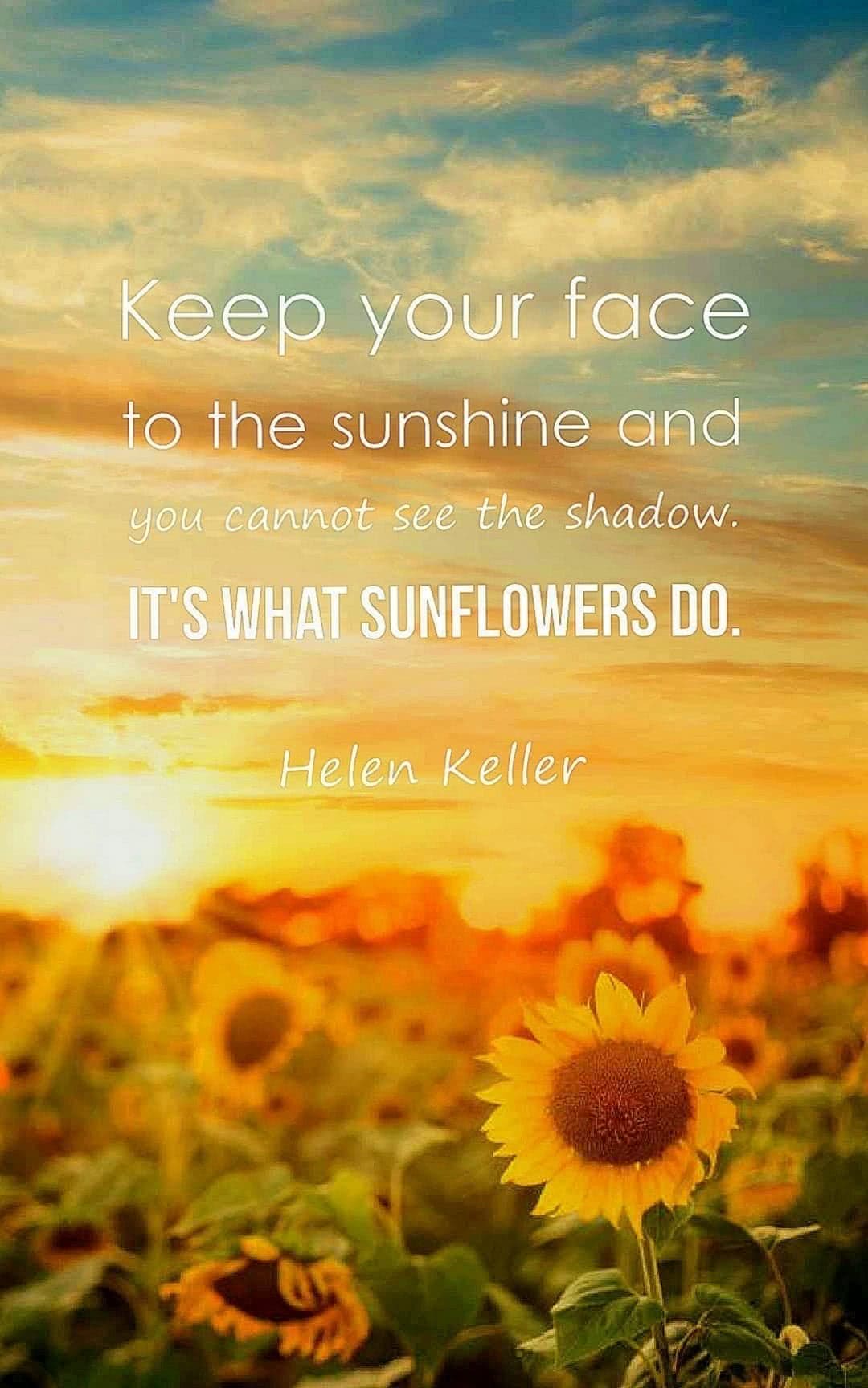 Sunflower Pics With Quotes