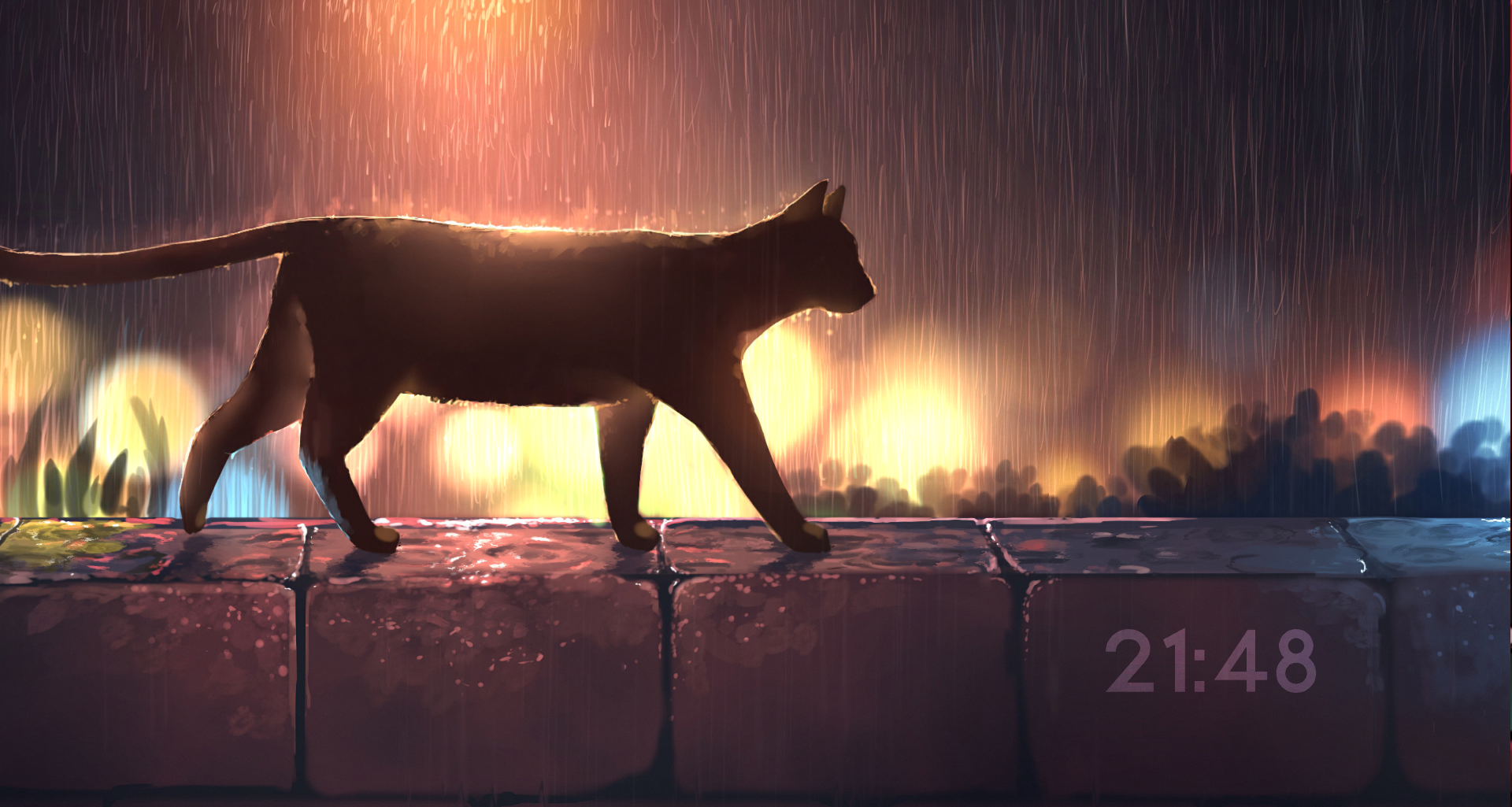 Black Cat 4K live wallpaper [DOWNLOAD FREE]