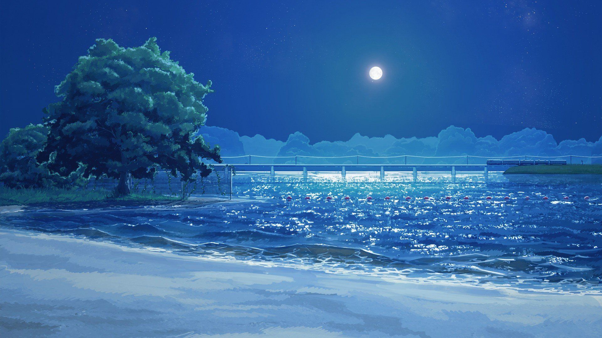 Anime Ocean Background Night