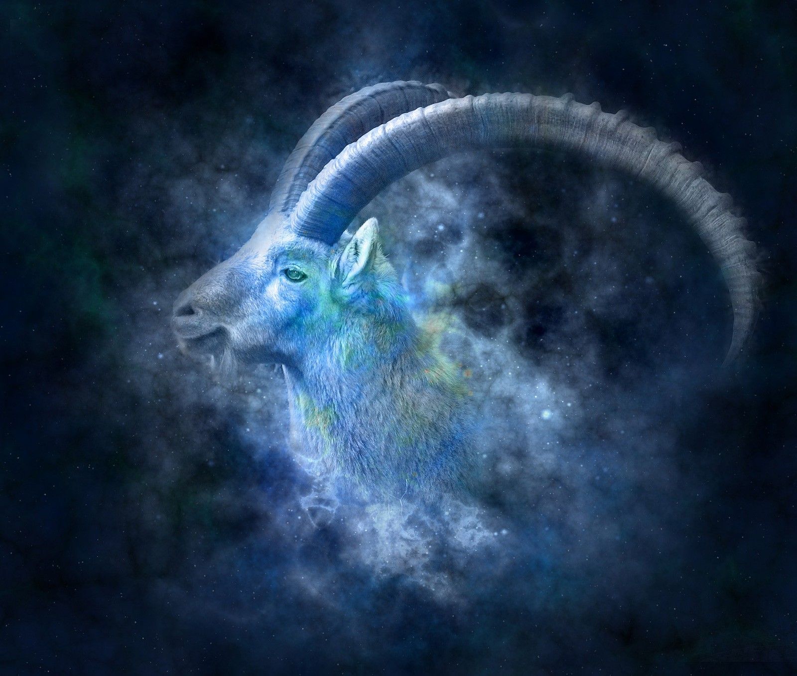 Zodiac Symbols For Capricorn And Capricorn Sign Meanings Signs Capricorn Animal HD Wallpaper